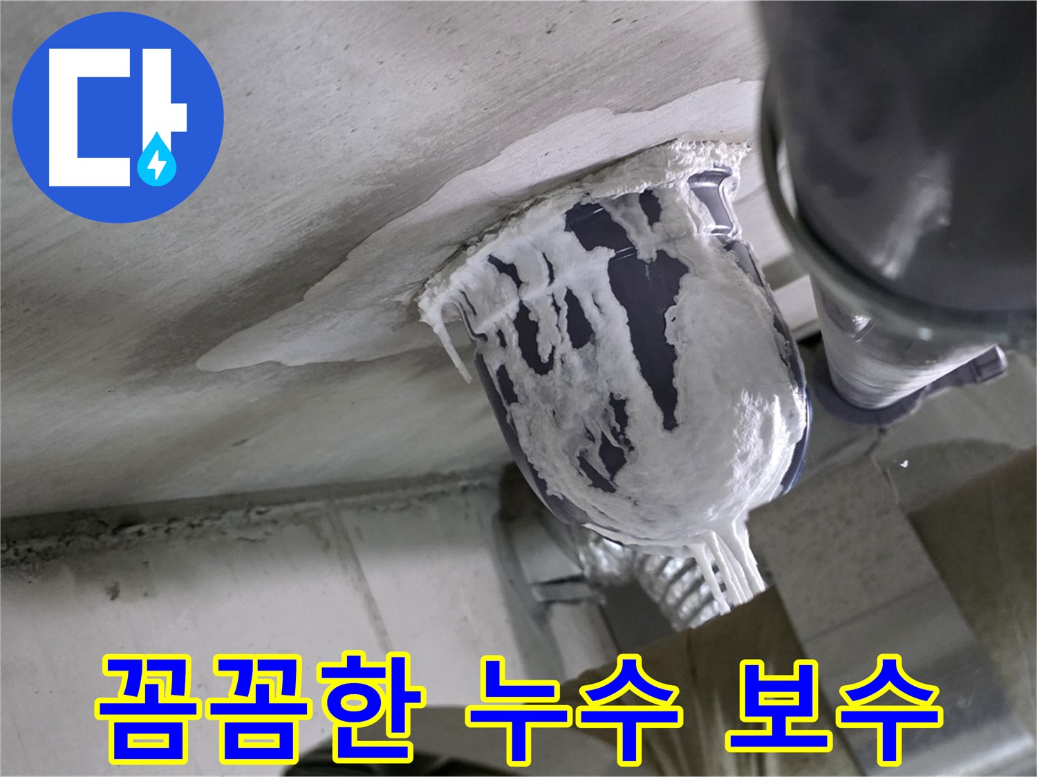 분당 운중동 산운마을 - 꼼꼼한 누수 보수로 고객 만족