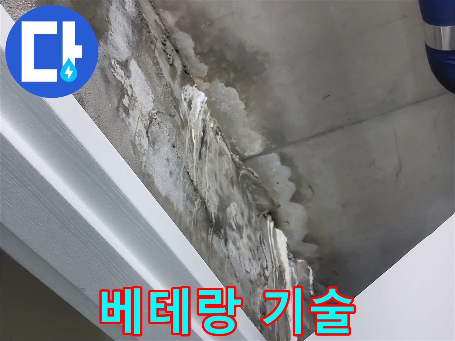 분당 운중동 산운마을 누수 - 베테랑 기술자의 꼼꼼한 시공