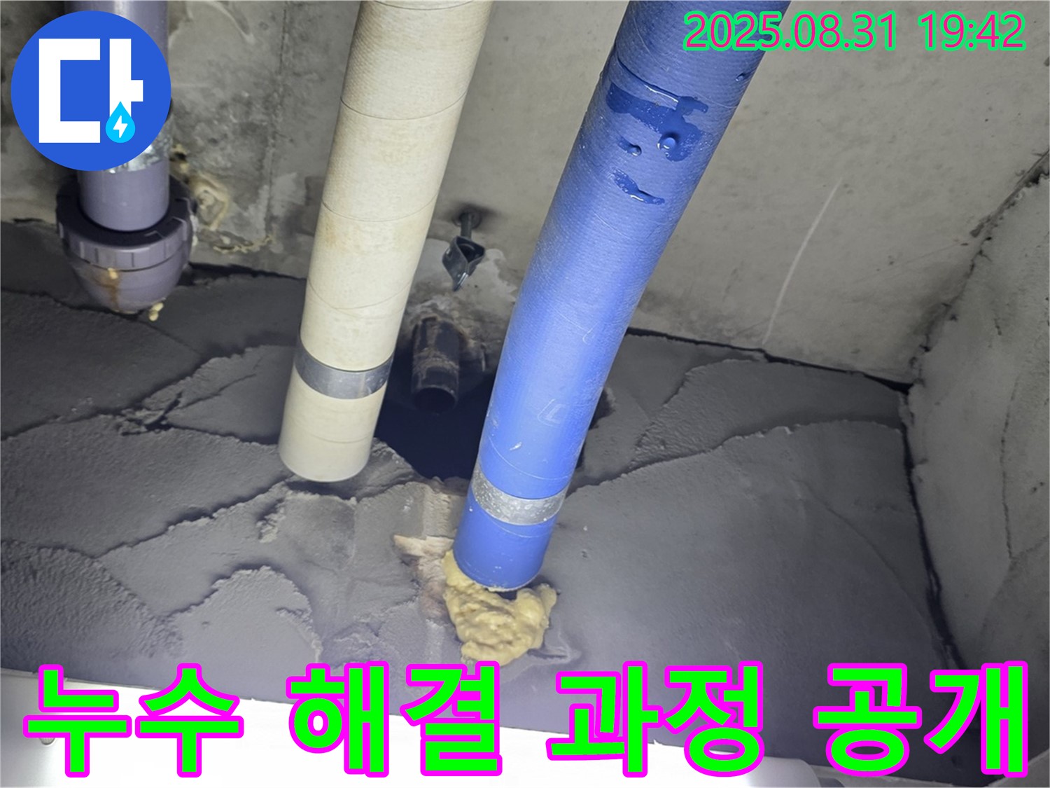 분당 운중동 산운마을 누수 - 전문가의 누수 해결 과정 상세 공개