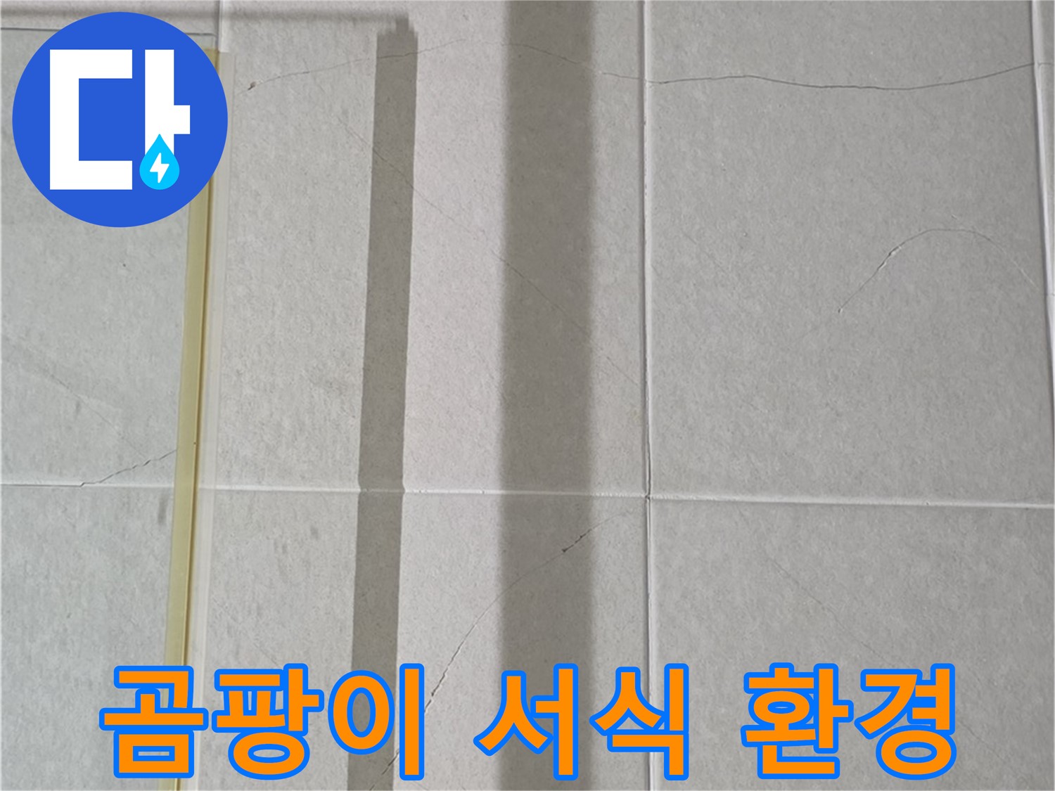 분당 운중동 산운마을 샤워부스 - 샤워 후 습기 제거 미흡으로 인한 곰팡이 서식 환경 조성