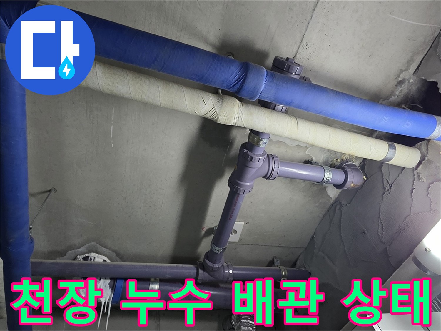 분당 운중동 산운마을 아파트 천장 누수 - 노후된 배관 상태를 점검하고 정확한 누수 원인을 파악하여 문제 해결