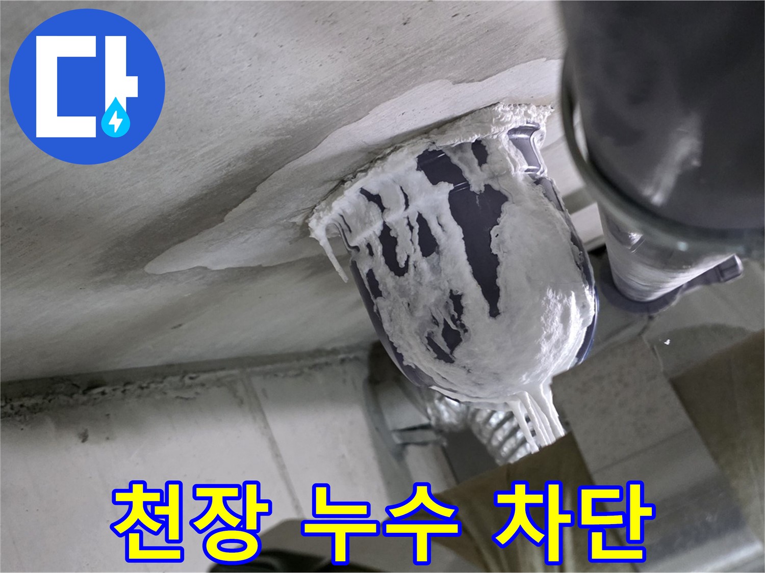 분당 운중동 산운마을 - 천장 누수 완벽 차단, 책임 시공