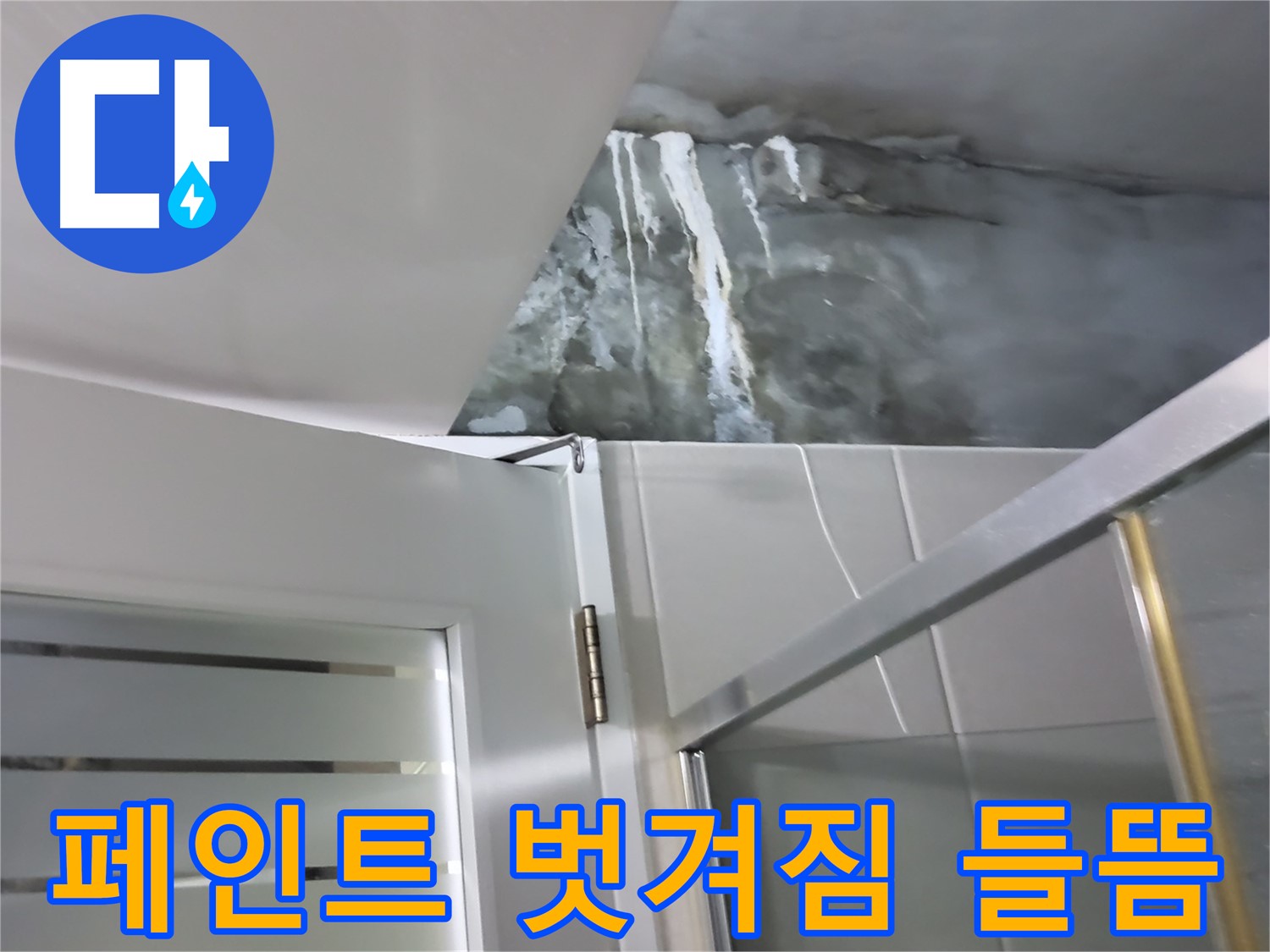 분당 운중동 샤워부스 주변 벽면의 심한 페인트 벗겨짐과 들뜸 - 누수 가능성 진단