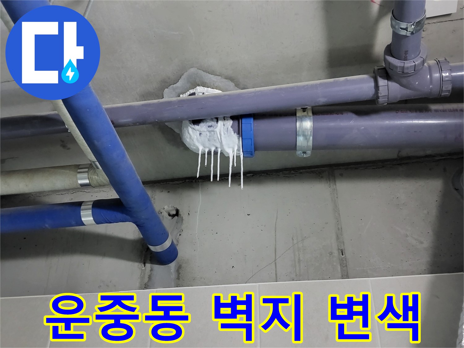 분당 운중동 하수 누수 - 벽지 변색