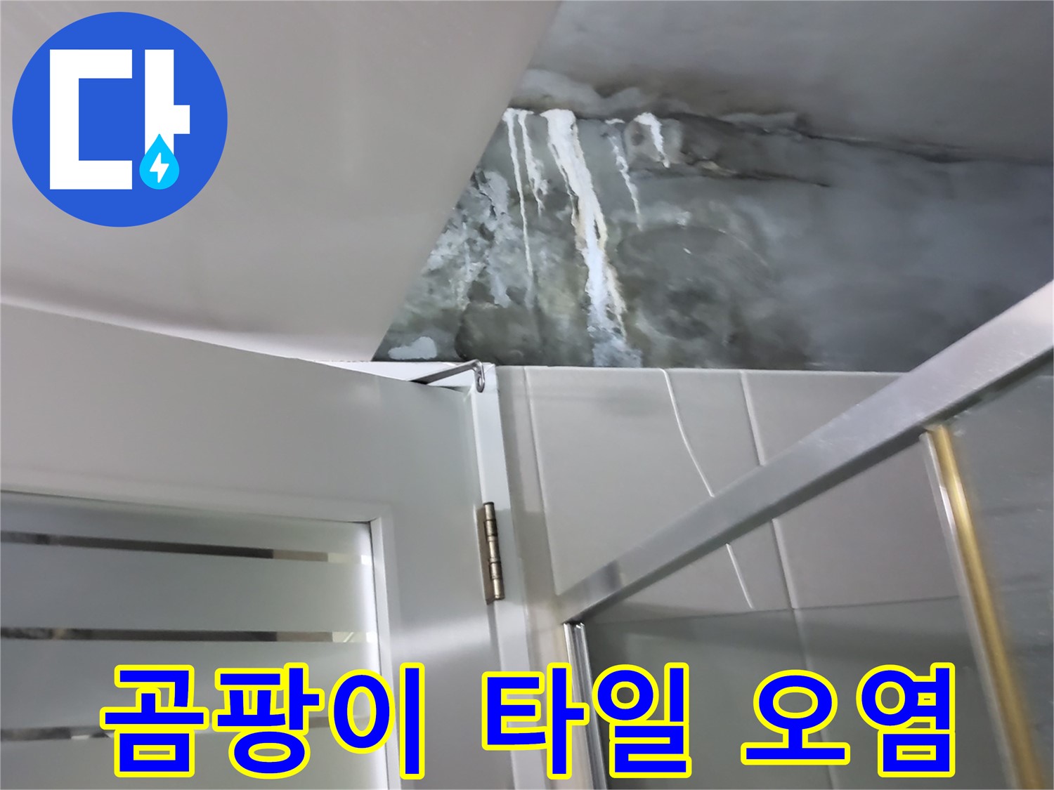 분당구 운중동 샤워부스 벽면 곰팡이와 타일 틈새 오염 확인 - 누수 원인 전문적 진단