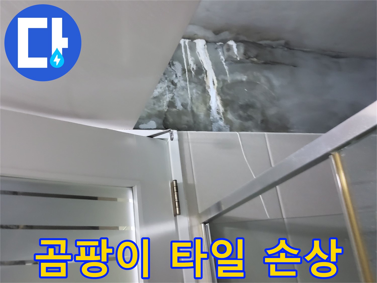 분당구 운중동 아파트 샤워부스 벽면 곰팡이와 심각한 타일 손상 - 누수 원인 전문적 진단