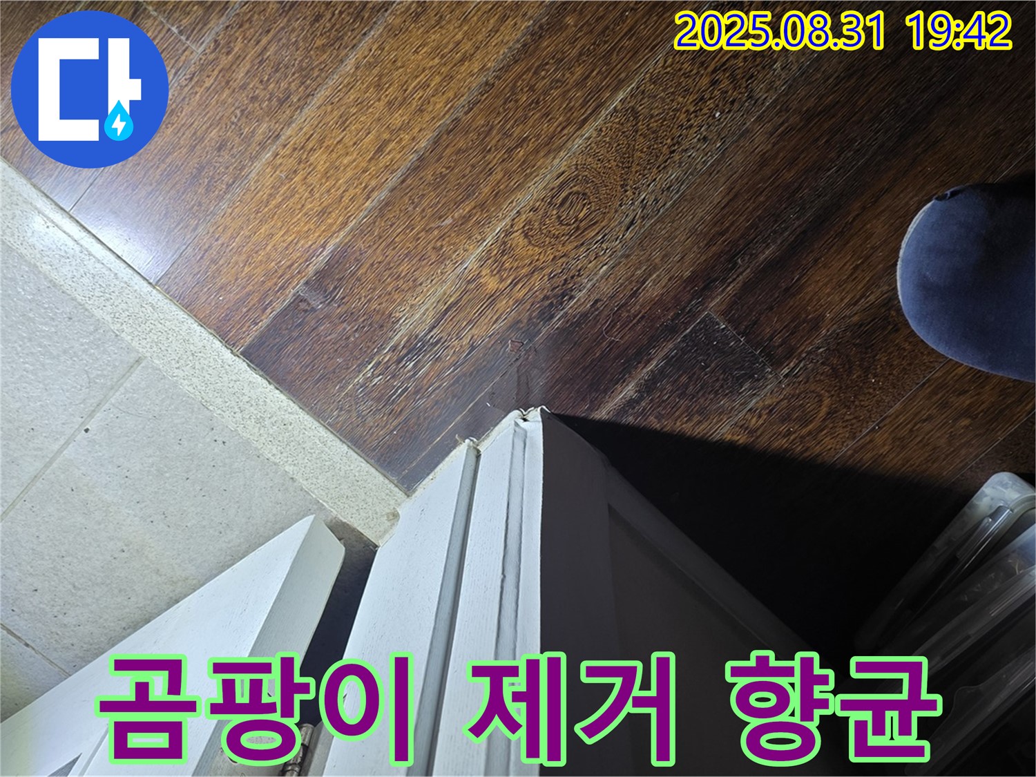 성남 분당 누수 - 운중동 산운마을 누수, 문턱 주변 곰팡이 제거 후 향균 처리, 쾌적한 환경으로!