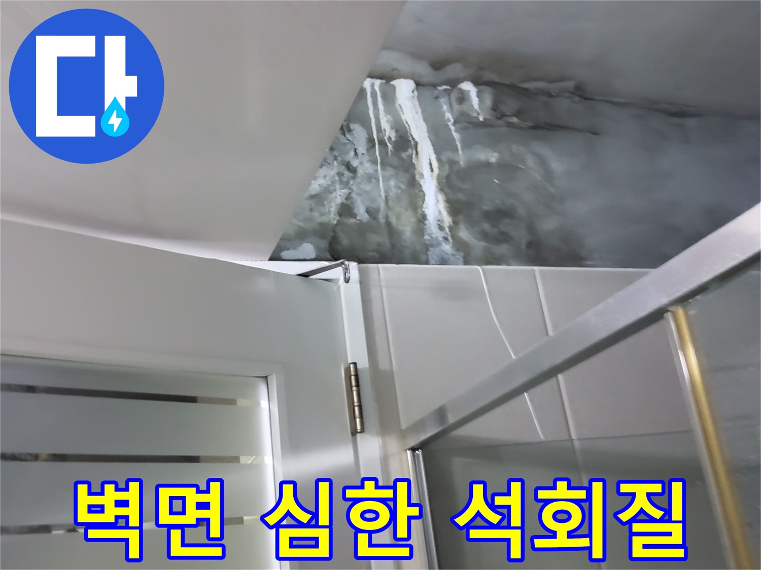 성남 분당 샤워부스 벽면 심한 석회질 침착 및 누수 심층 의심 - 정밀 점검 과정