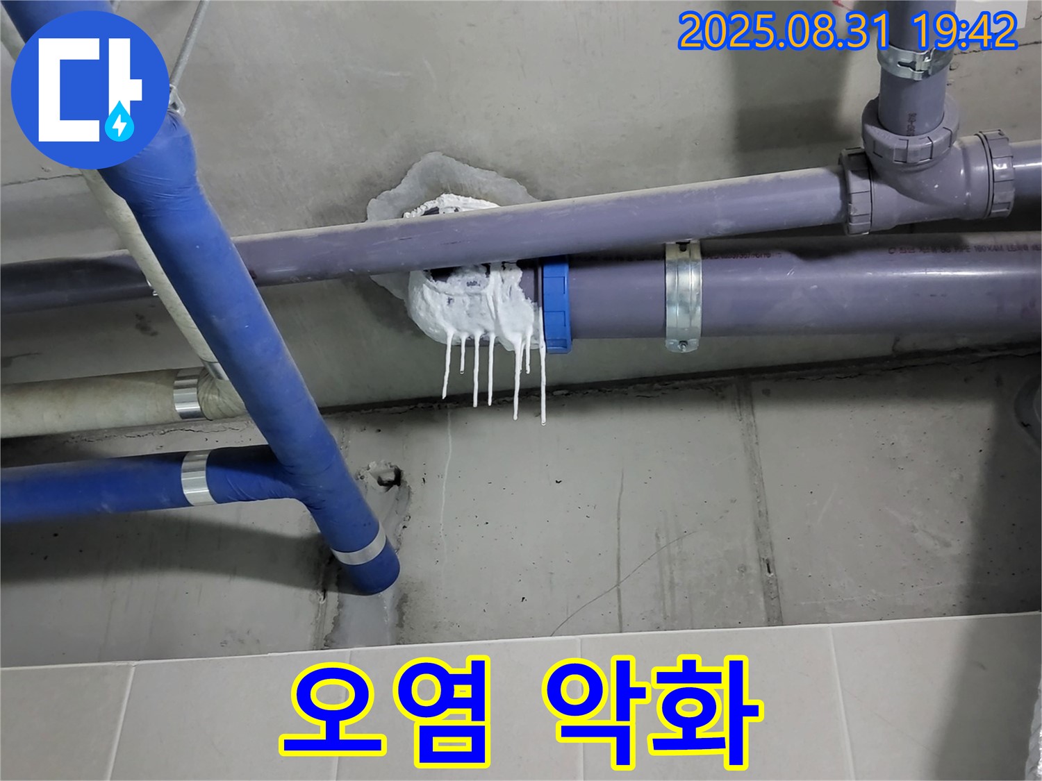성남 분당 운중동 산운로 주택 욕실 누수 - 핀 시공 후 백시멘트 오염 악화 상태 확인