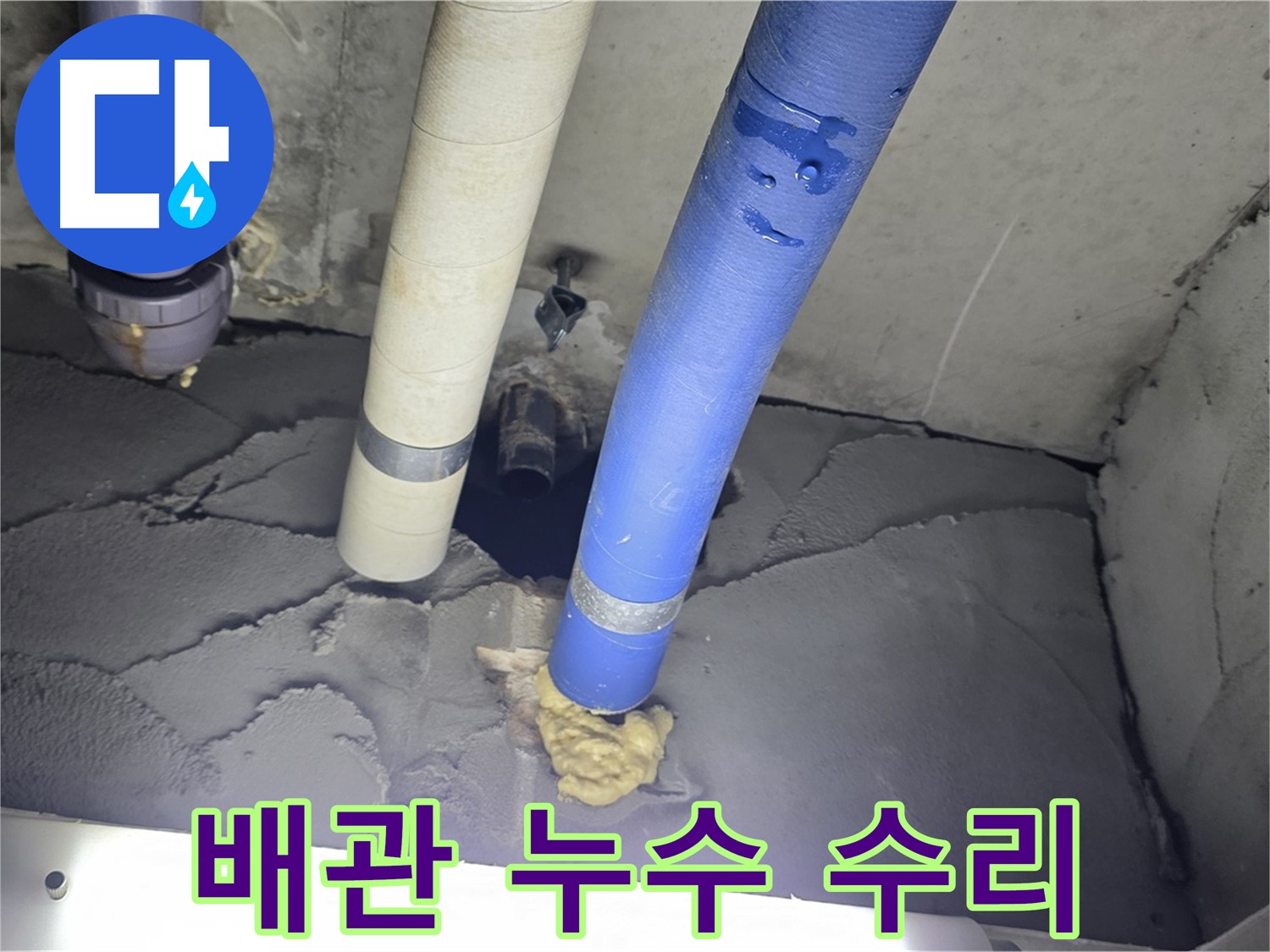 성남 분당 운중동 산운마을 6단지 누수 - 신속하고 정확한 누수 수리 완료