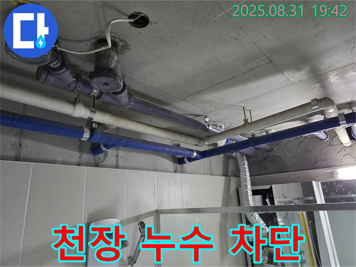 성남 분당 운중동 산운마을 6단지 욕실 천장 누수 - 완벽한 차단, 확실한 해결, 그리고 고객 만족을 약속드립니다.