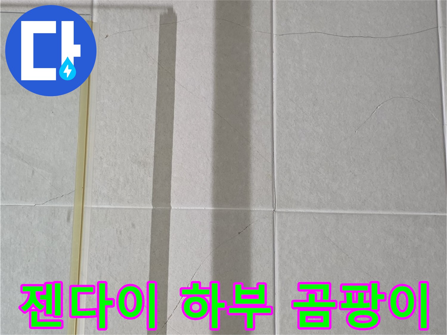 성남시 분당 샤워부스 - 벽면 타일 틈새 누수, 젠다이 하부 곰팡이 및 습기 확인