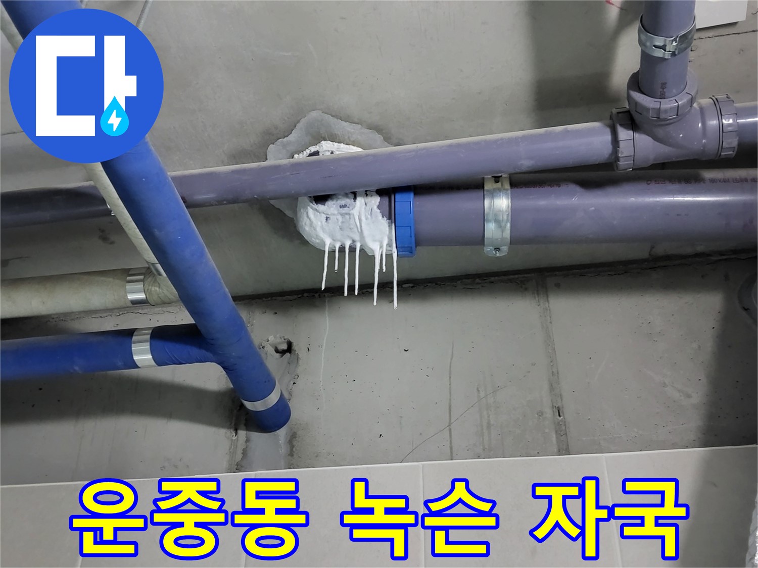 운중동 하수 누수 - 배관 연결 부위 녹슨 자국과 물 떨어짐