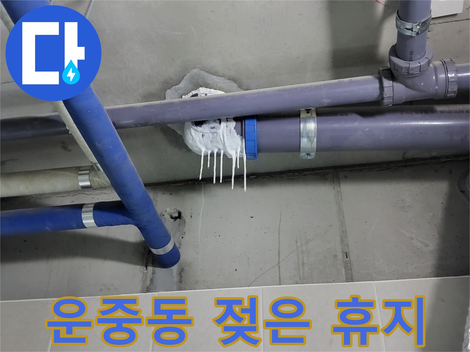 운중동 하수 누수 - 배관 주변 젖은 휴지 (임시 조치)