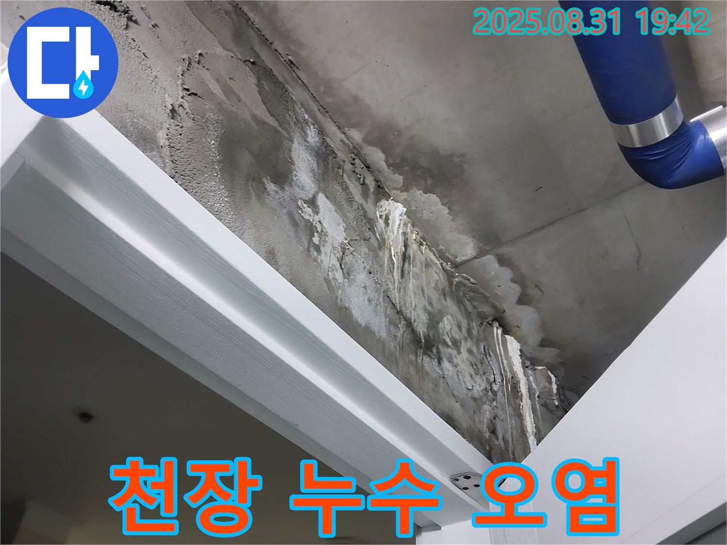 천장 누수 - 심각한 오염 상태 - 누수로 인해 천장이 심하게 오염된 모습입니다.