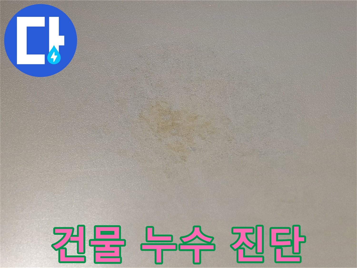건물 누수 진단 - 능동 아성빌라트 광진구 누수 정밀 탐지