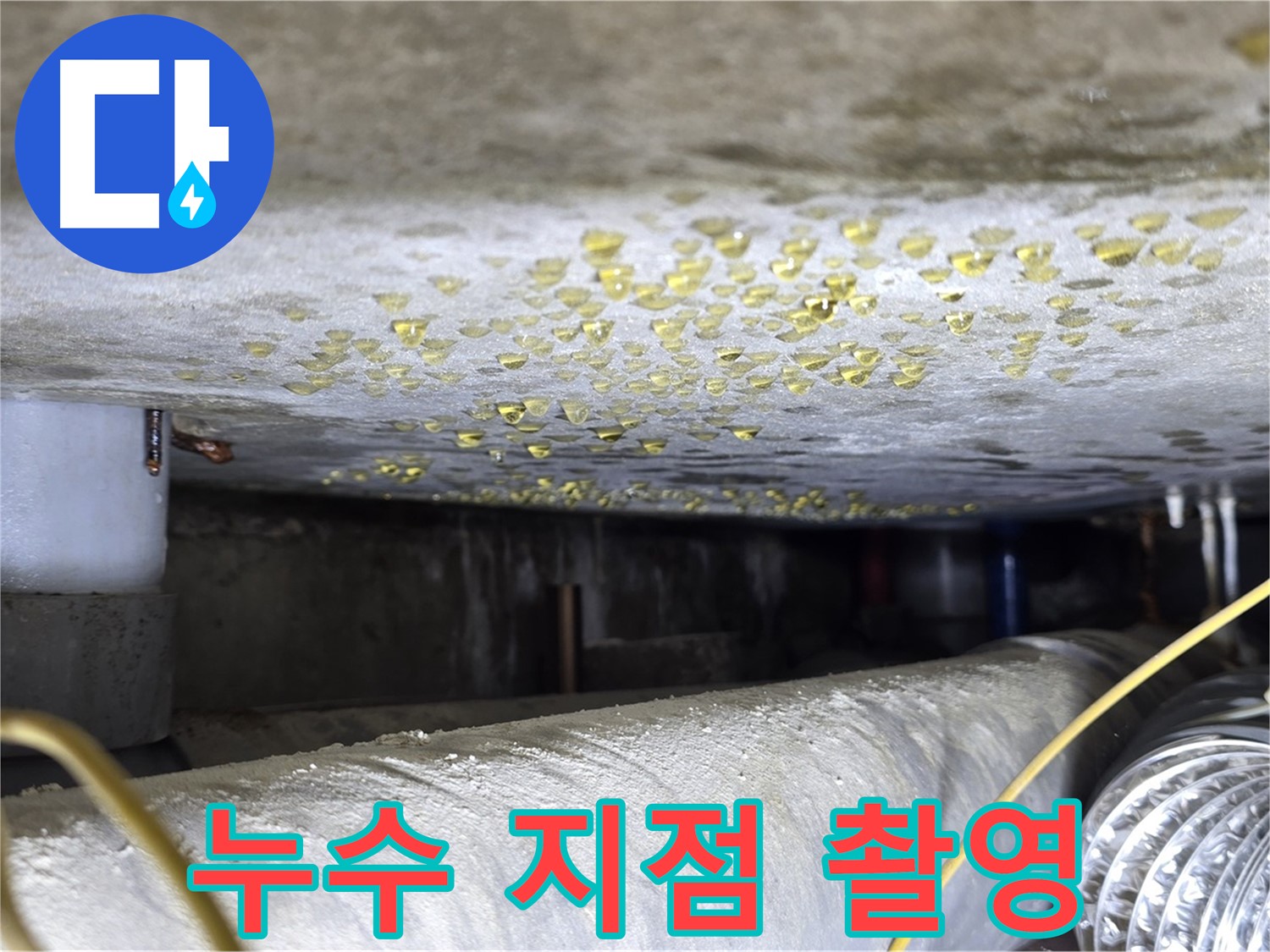 광진구 능동 빌라 천장 누수 - 누수 지점 정밀 촬영 - 문제점 기록