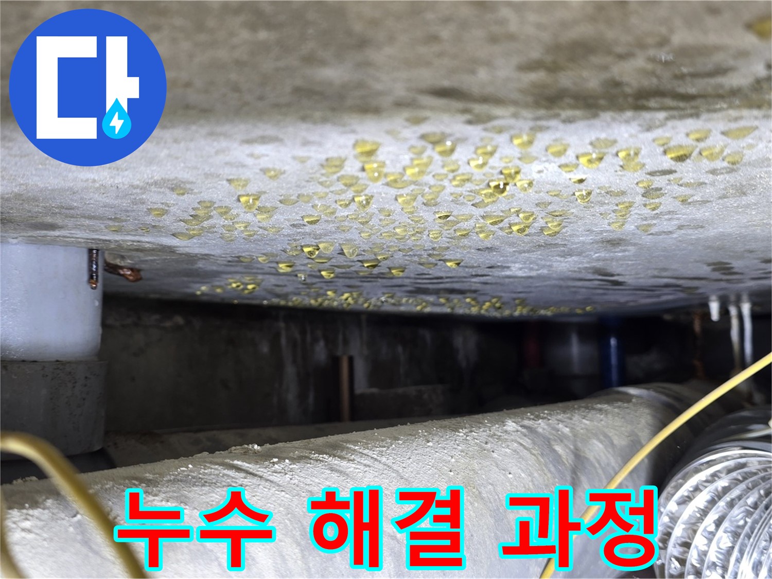 광진구 능동 아성빌라트 천장 누수 - 누수 해결을 위한 점검 과정
