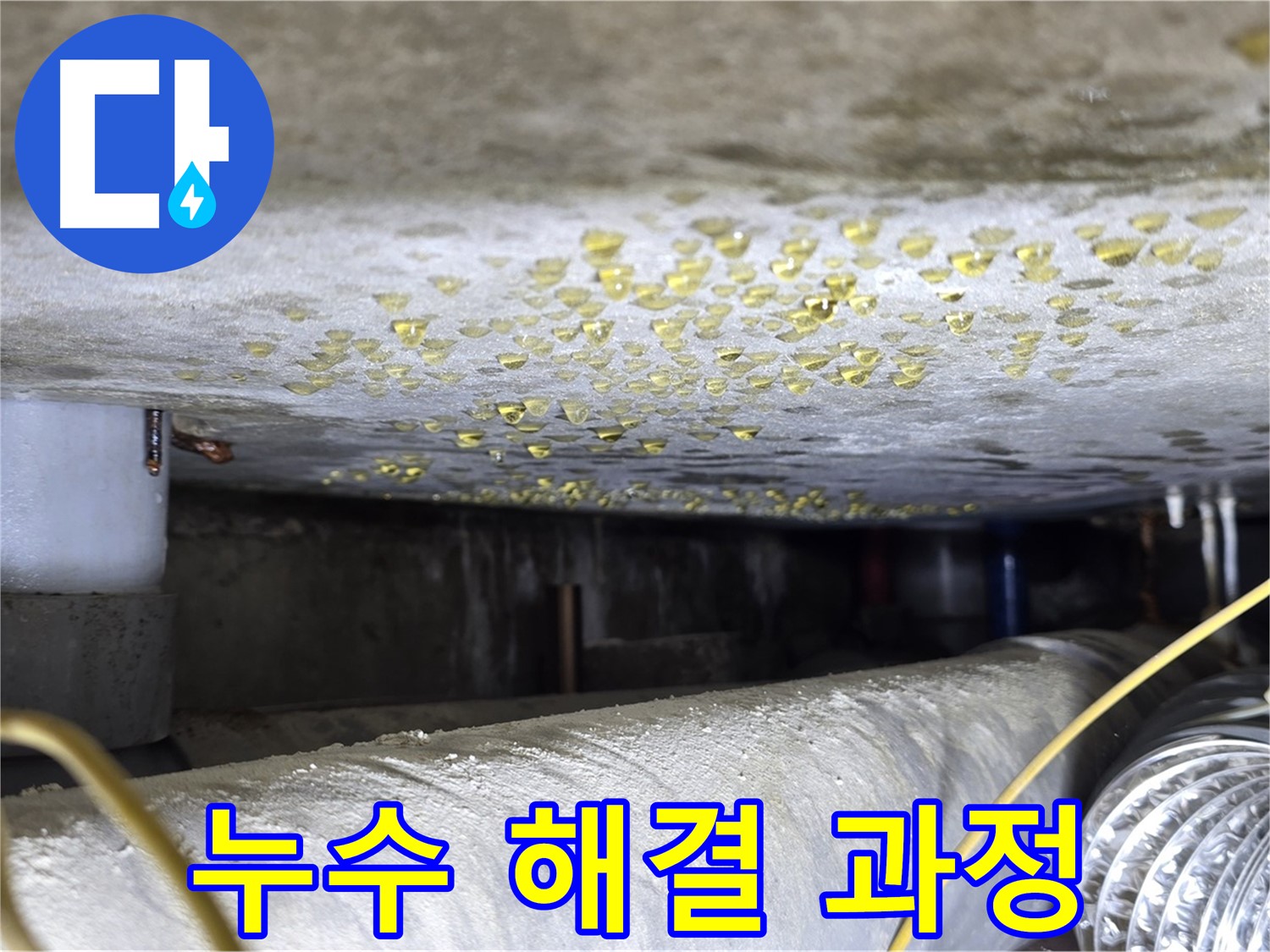 광진구 능동 아성빌라트 천장 누수 - 누수 해결을 위한 점검 과정