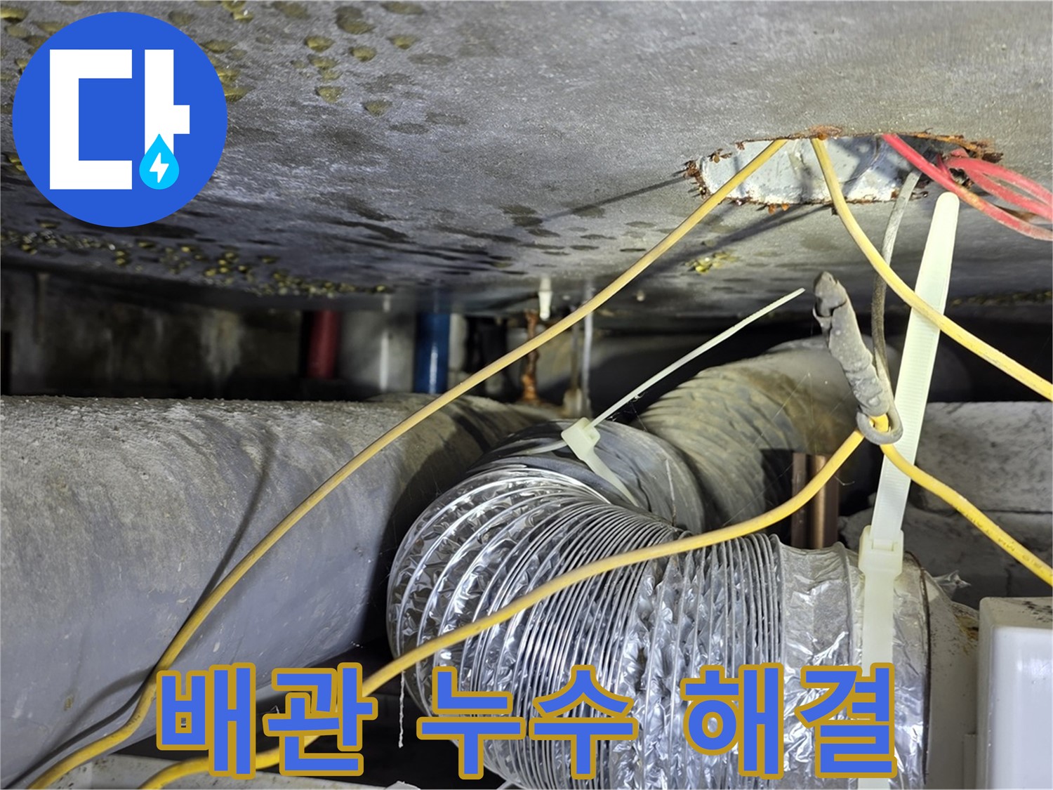 광진구 능동 천장 배관 누수 해결 - 누수 원인 진단부터 보수까지 완벽 시공