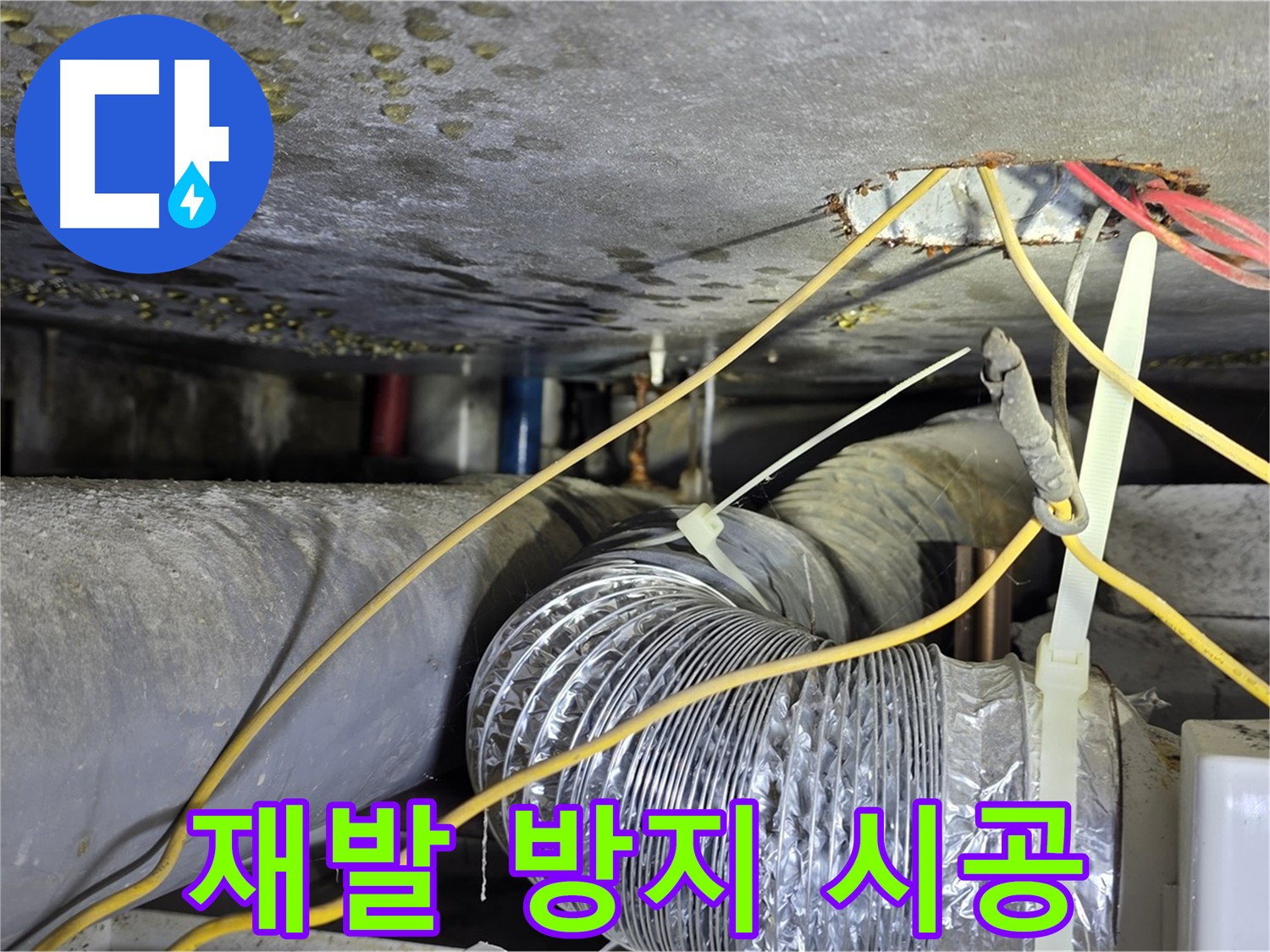 광진구 능동로 누수 - 꼼꼼한 시공으로 누수 재발 완벽 차단