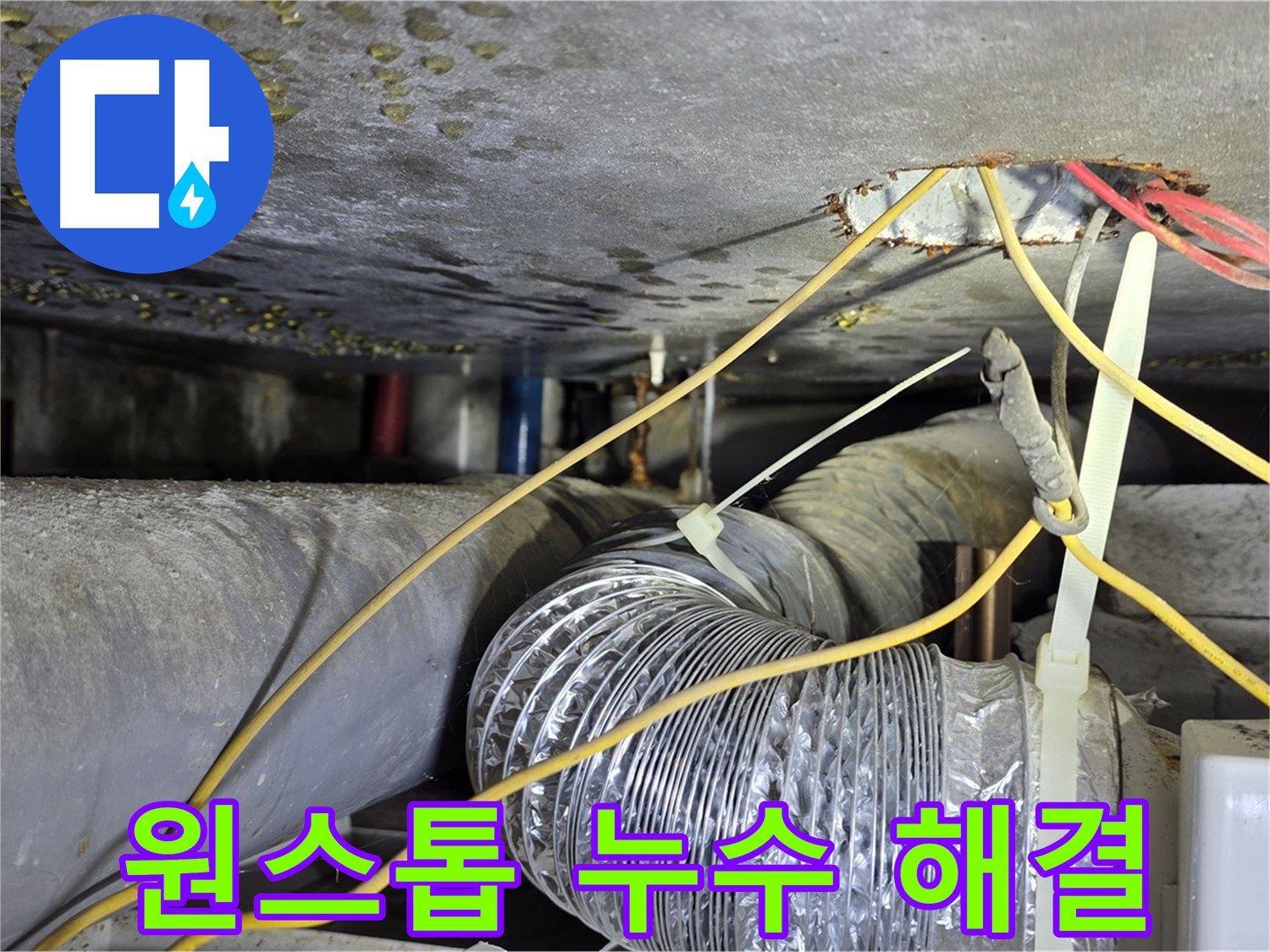 광진구 능동로 누수 - 누수탐지부터 완벽 시공까지 한 번에 해결