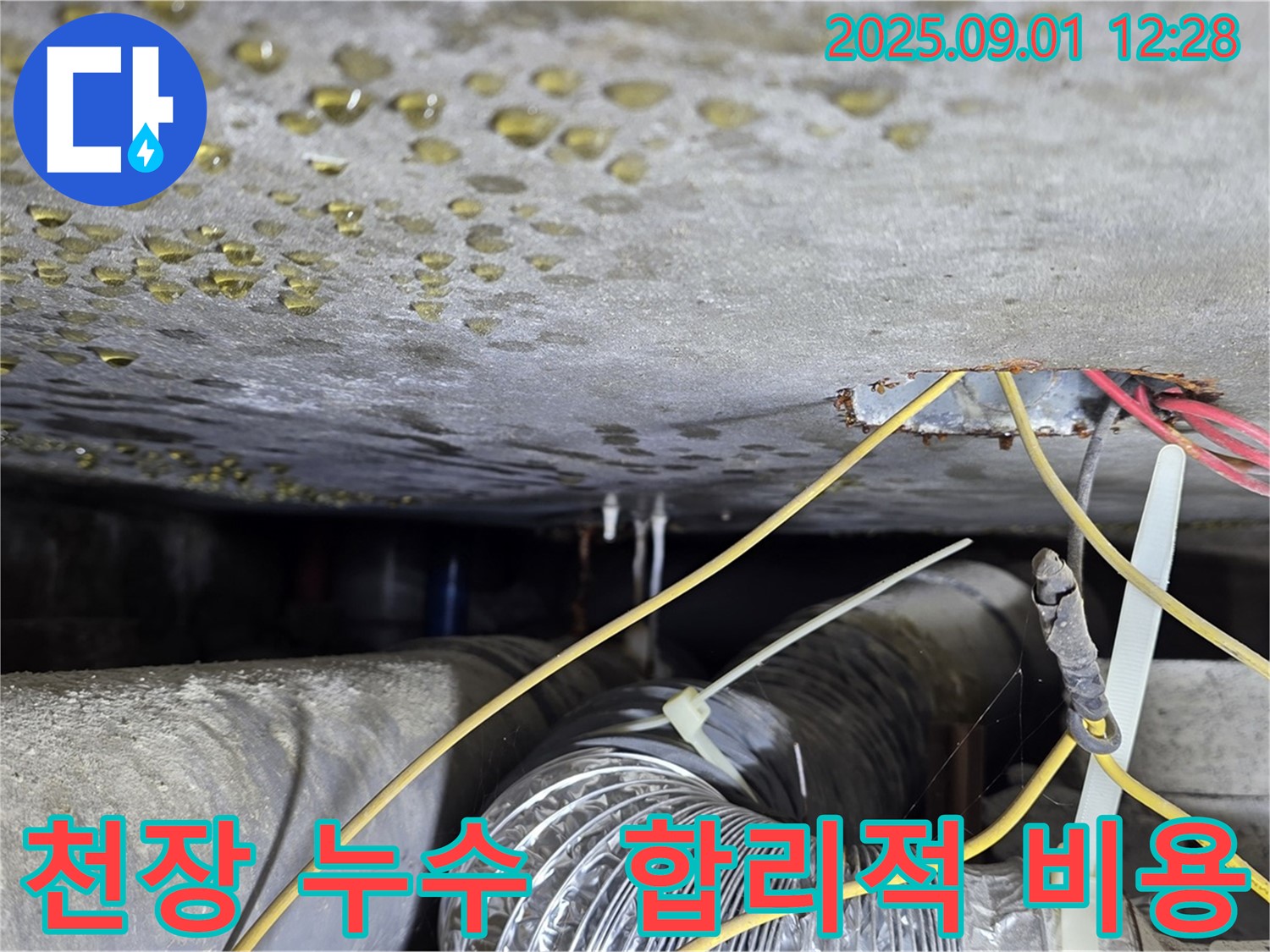능동 아성빌라트 천장 누수 - 합리적인 비용으로 누수 문제 해결, 부담 없이 문의하세요