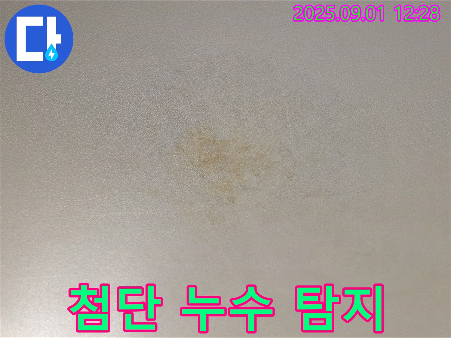 능동 아성빌라트 첨단 누수 탐지 장비 - 정확한 누수 지점 파악