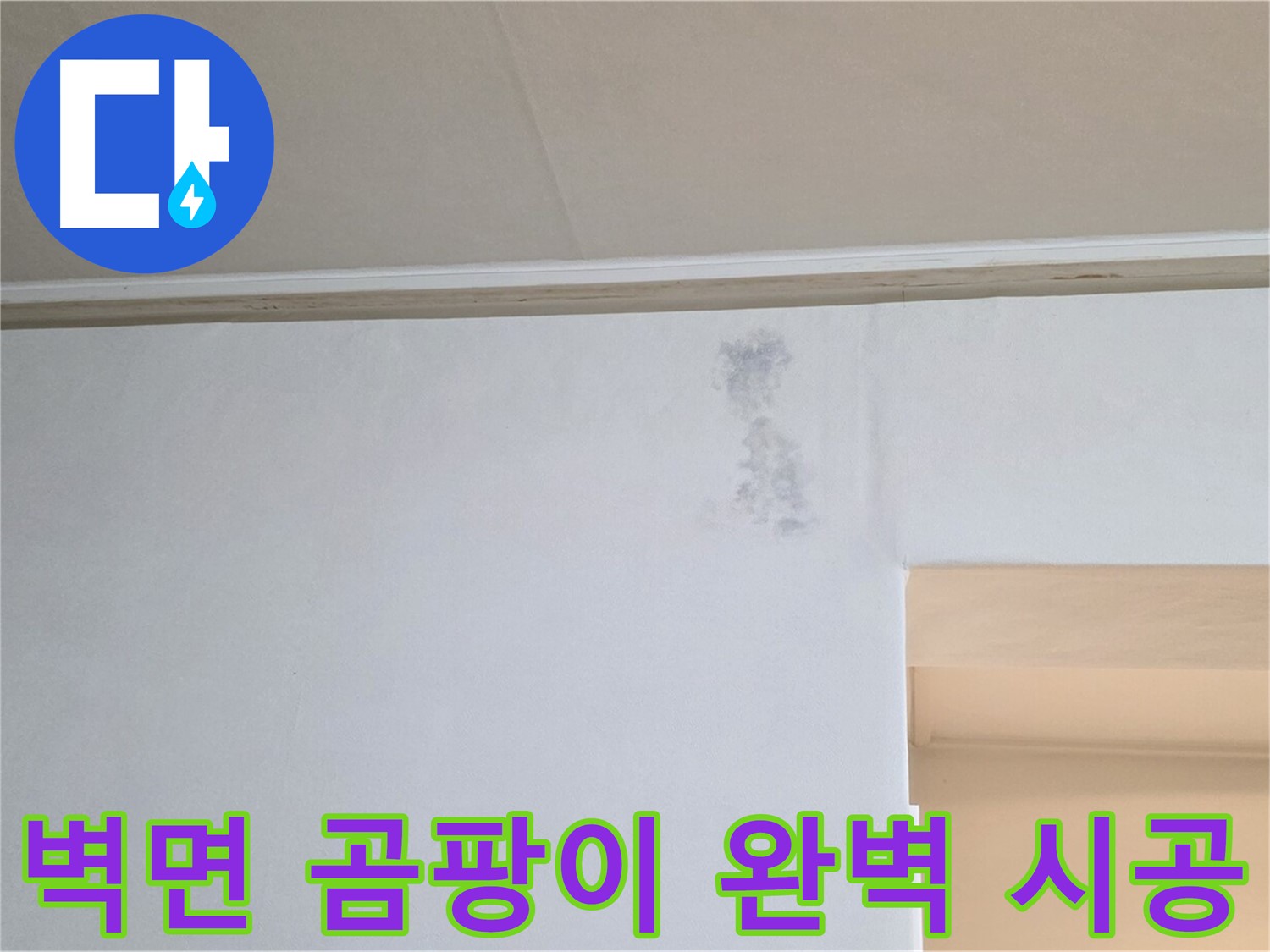 벽면 곰팡이 - 재발 없는 완벽 시공으로 곰팡이 문제를 해결합니다.