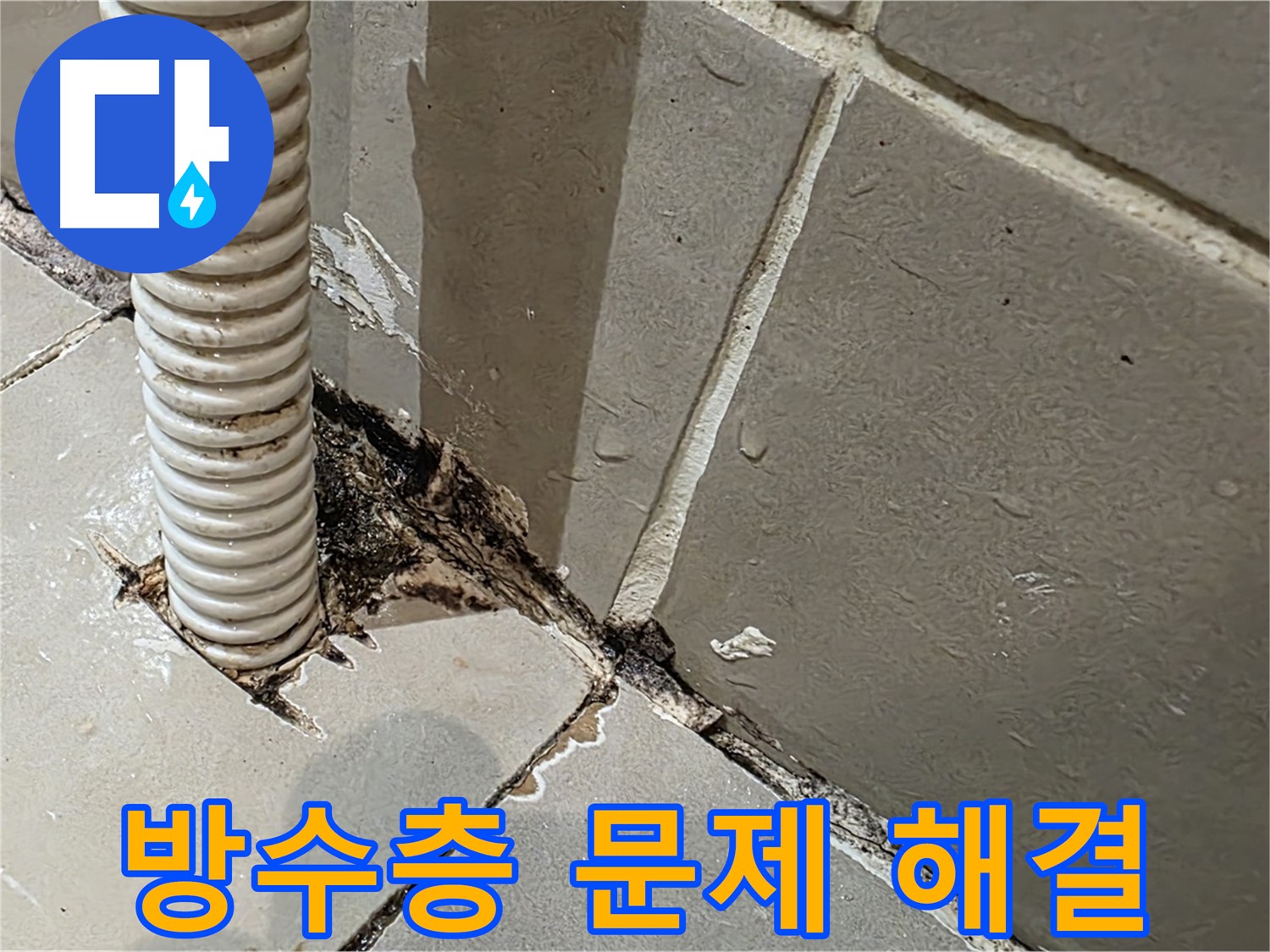 용산구 상가 화장실 누수 - 방수층 문제 진단을 위한 주사기 테스트