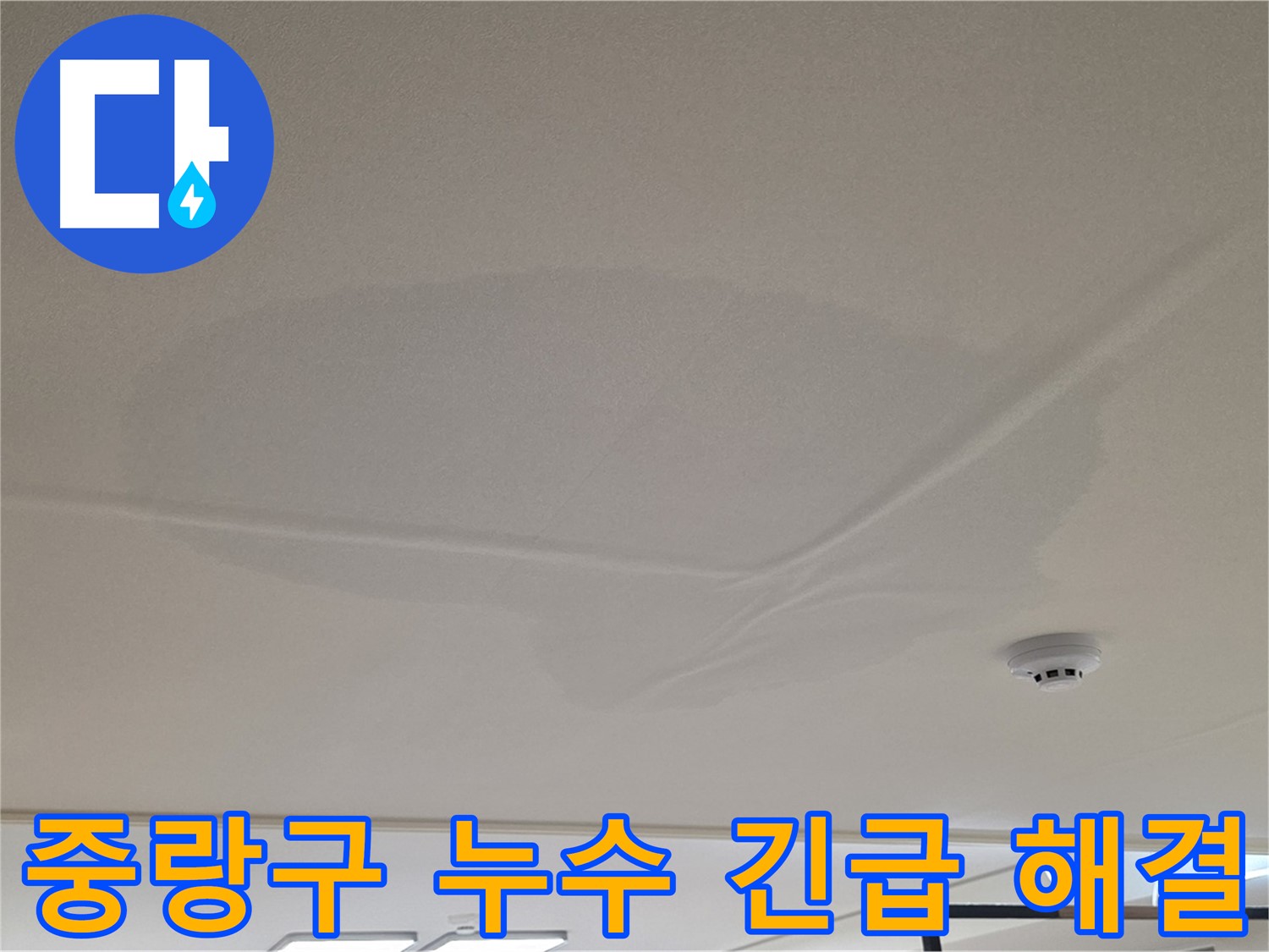 아랫집 천장 누수 - 넓은 범위 물 얼룩 - 긴급 누수 해결 작업
