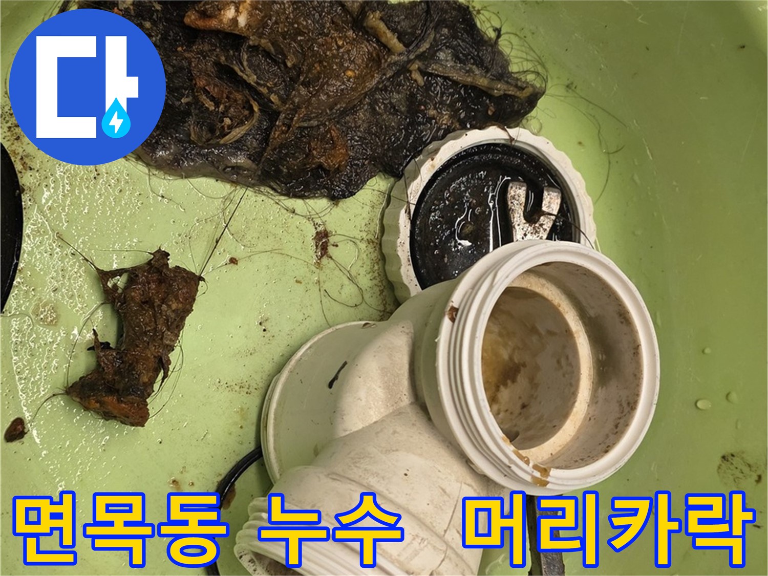 중랑구 면목동 머리카락 뭉치 제거 작업