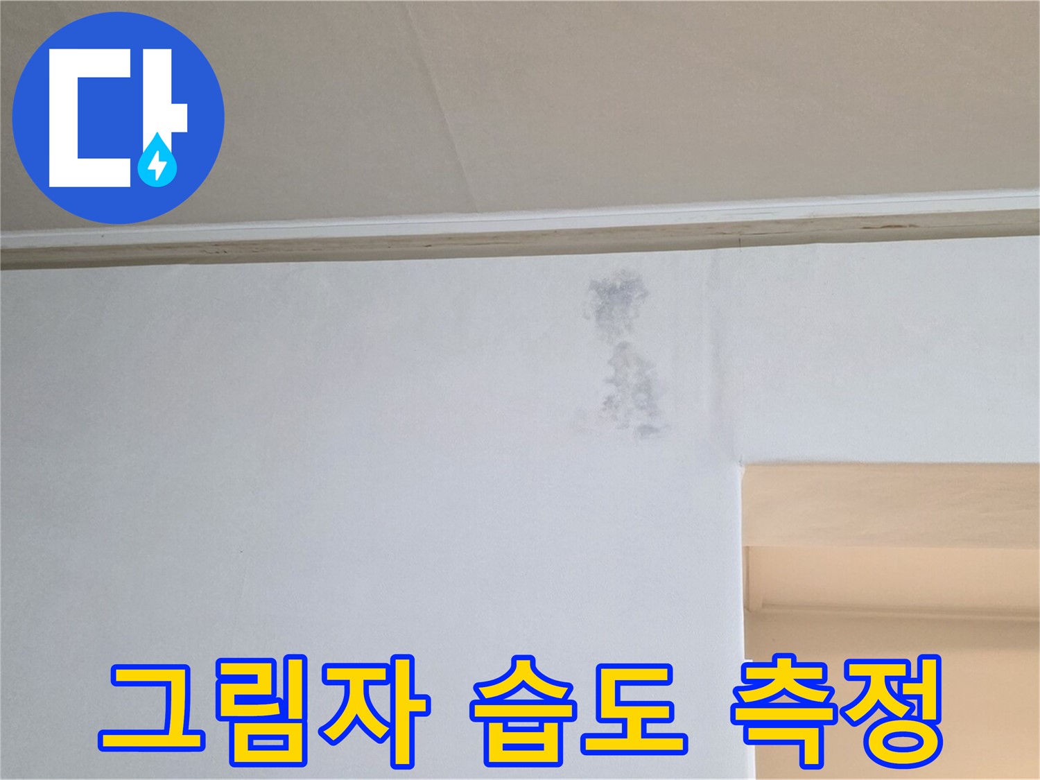 검은 그림자 습도 측정 - 누수 & 곰팡이 정밀 과학 검사