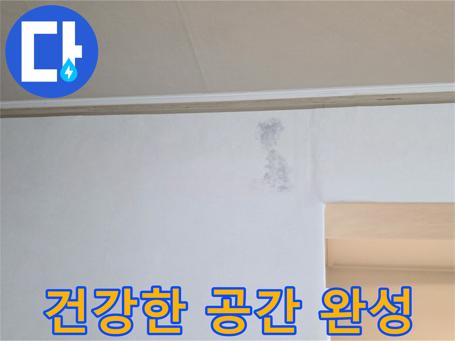 곰팡이 그림자 없는 건강한 공간 - 행복한 삶으로 초대