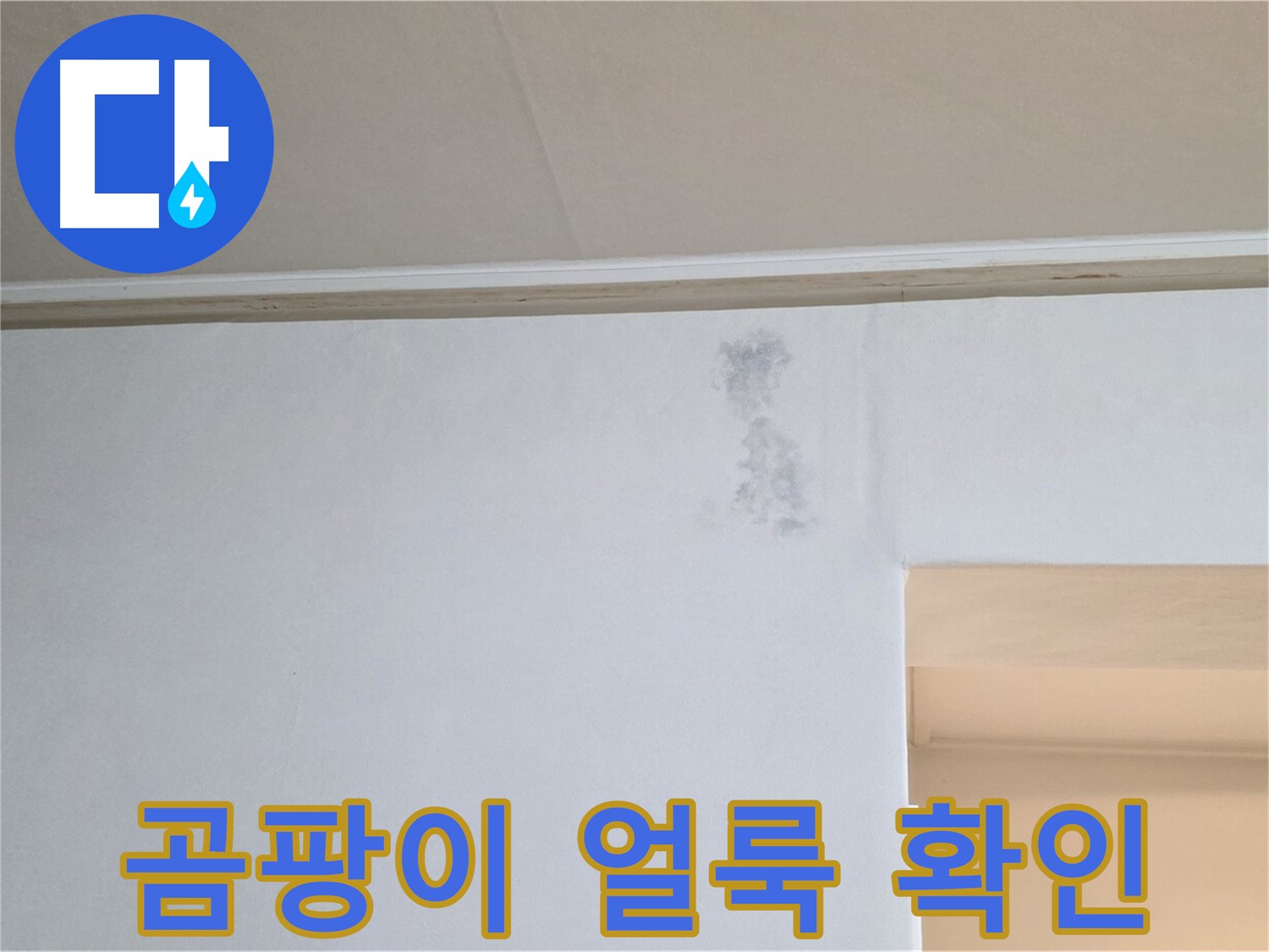곰팡이 얼룩 확인 - 누수 의심 초기 증상
