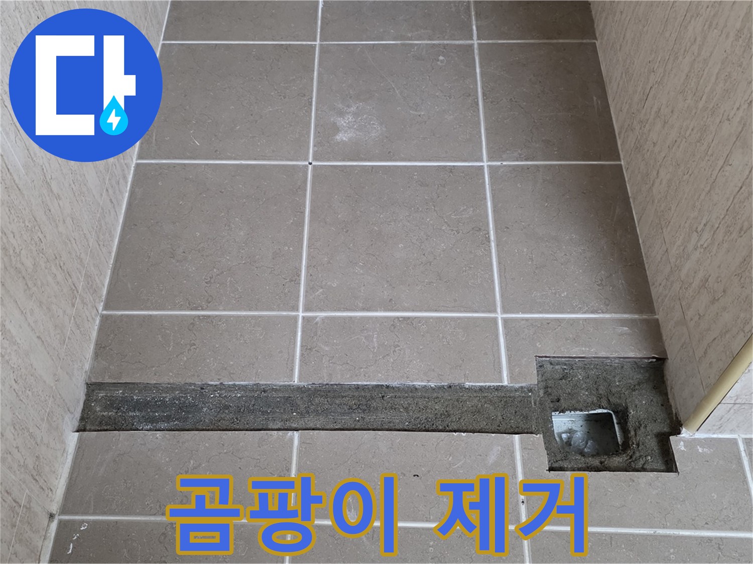 곰팡이와 오염 물질 제거 - 완벽 시공을 위한 준비