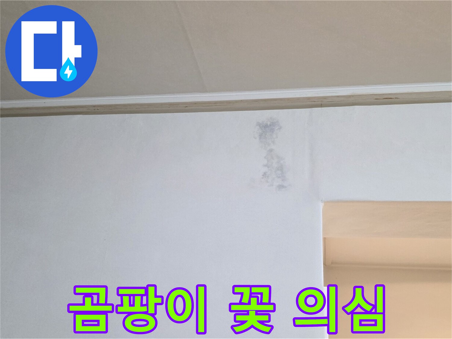 벽 곰팡이 꽃 - 곰팡이 또는 누수 초기 증상 의심