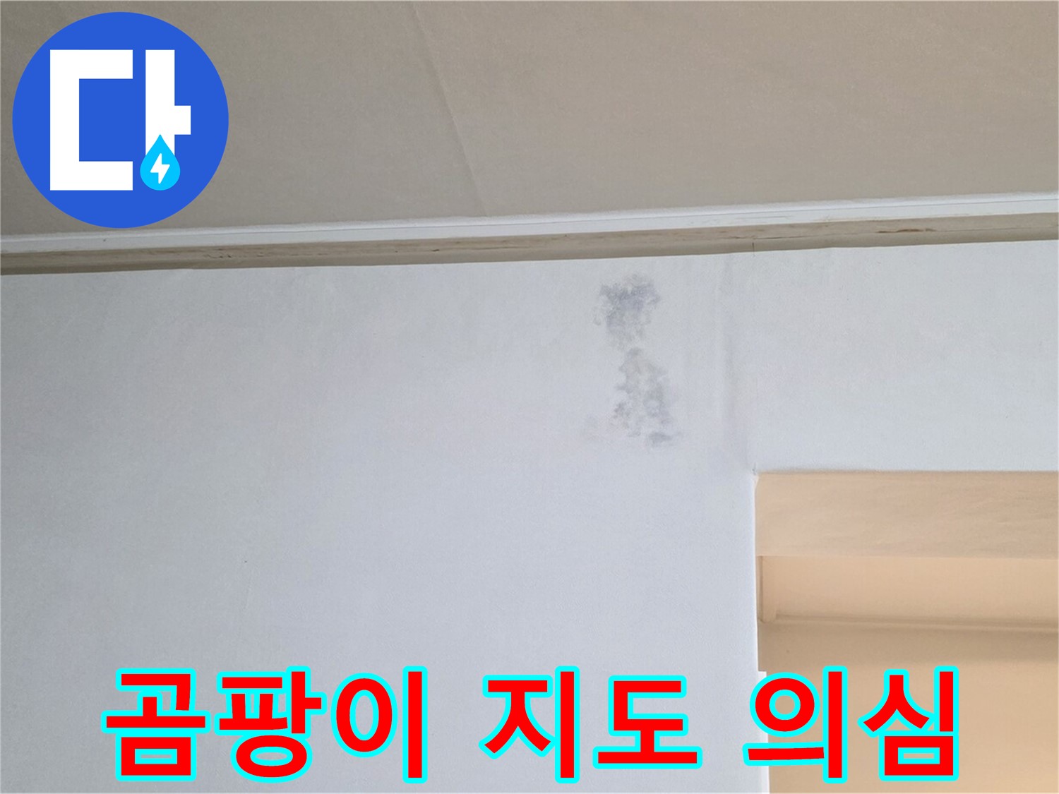 벽 곰팡이 지도 - 곰팡이 또는 습기 문제 초기 단계 의심
