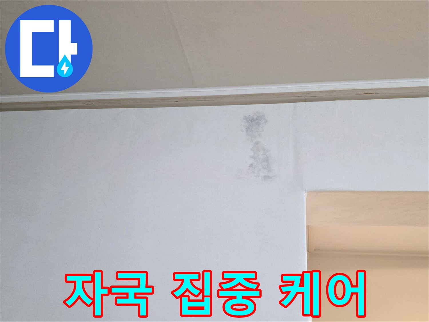 벽 눈물 자국 집중 케어 - 맞춤 솔루션 제공