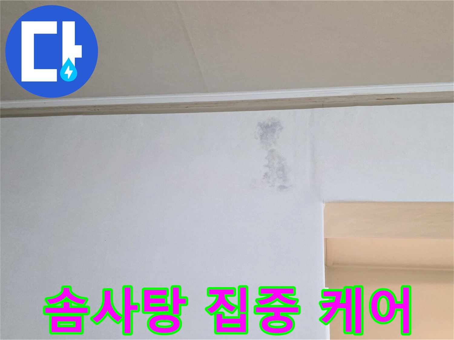 벽 솜사탕 집중 케어 - 맞춤 솔루션 제공