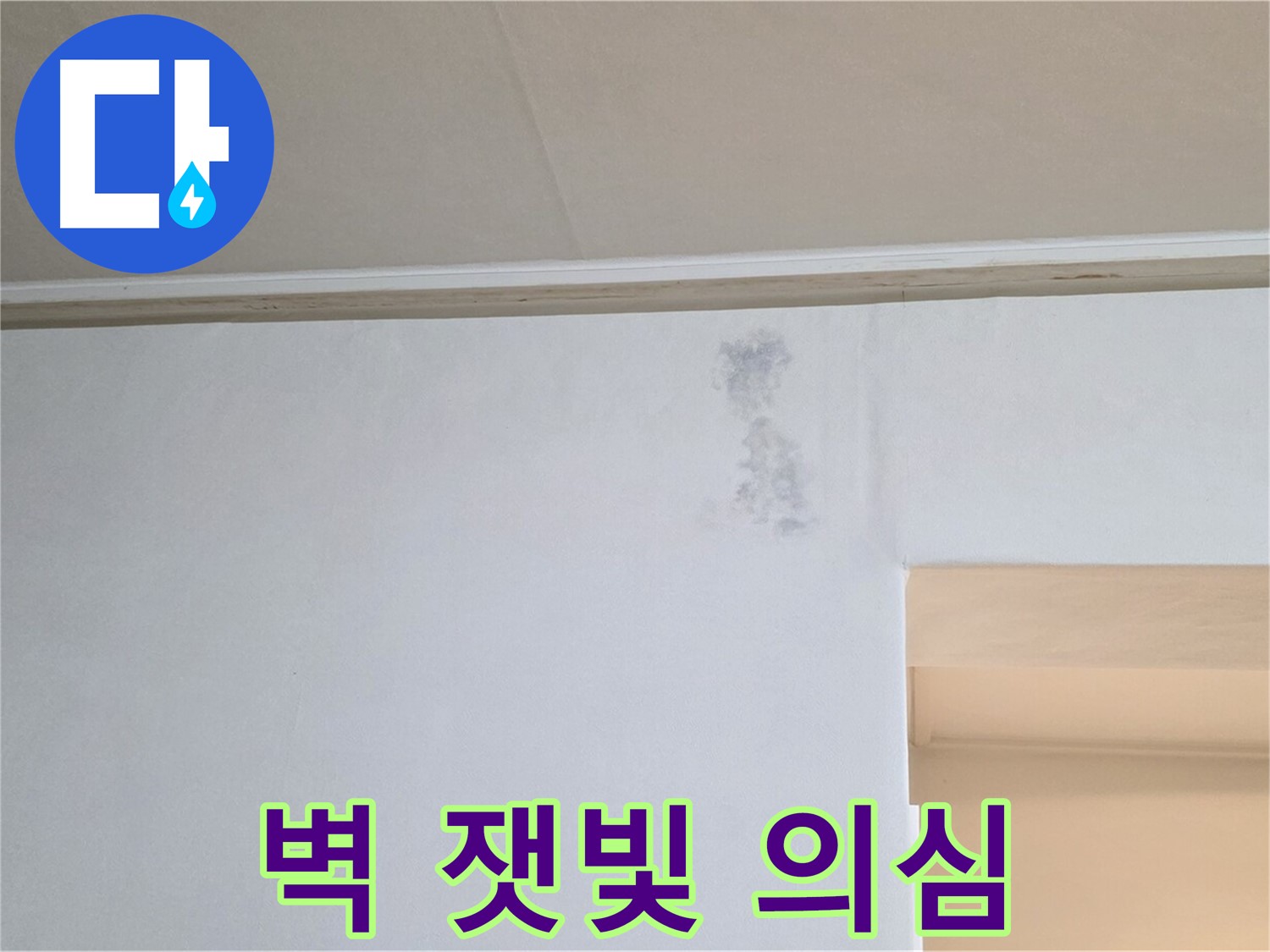 벽 잿빛 그림자 - 곰팡이 속삭임 & 누수 초기 의심