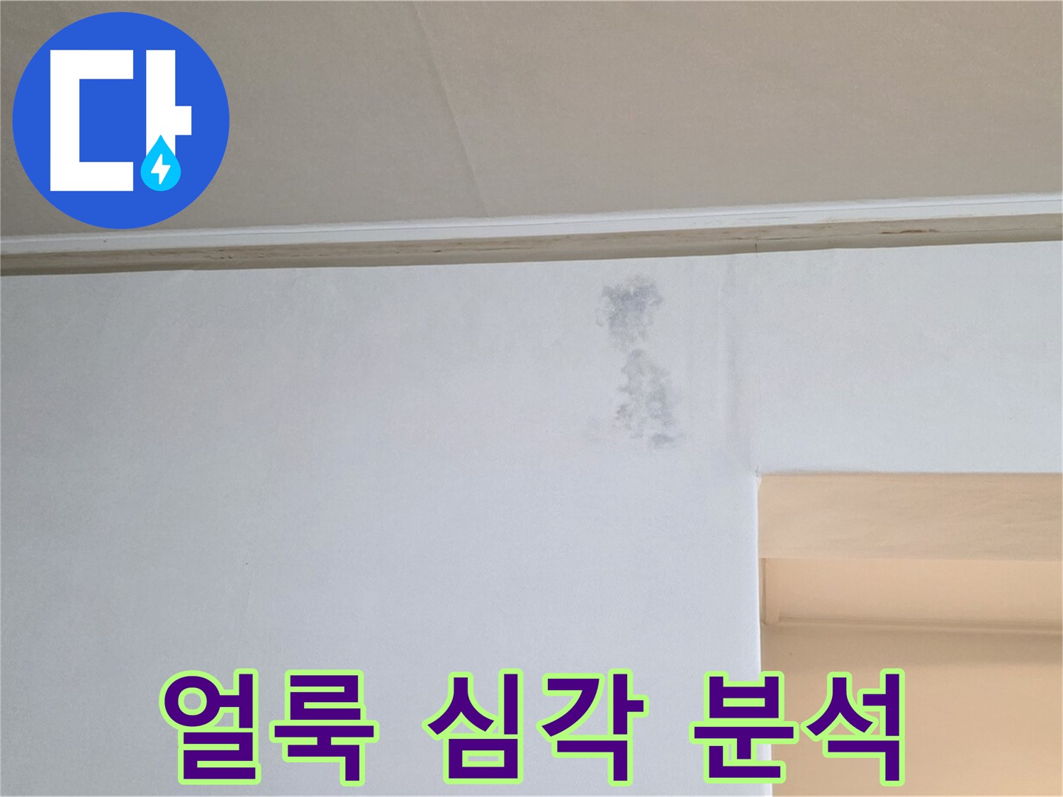 벽 젖은 그림자 심각 - 원인 분석 & 맞춤 솔루션