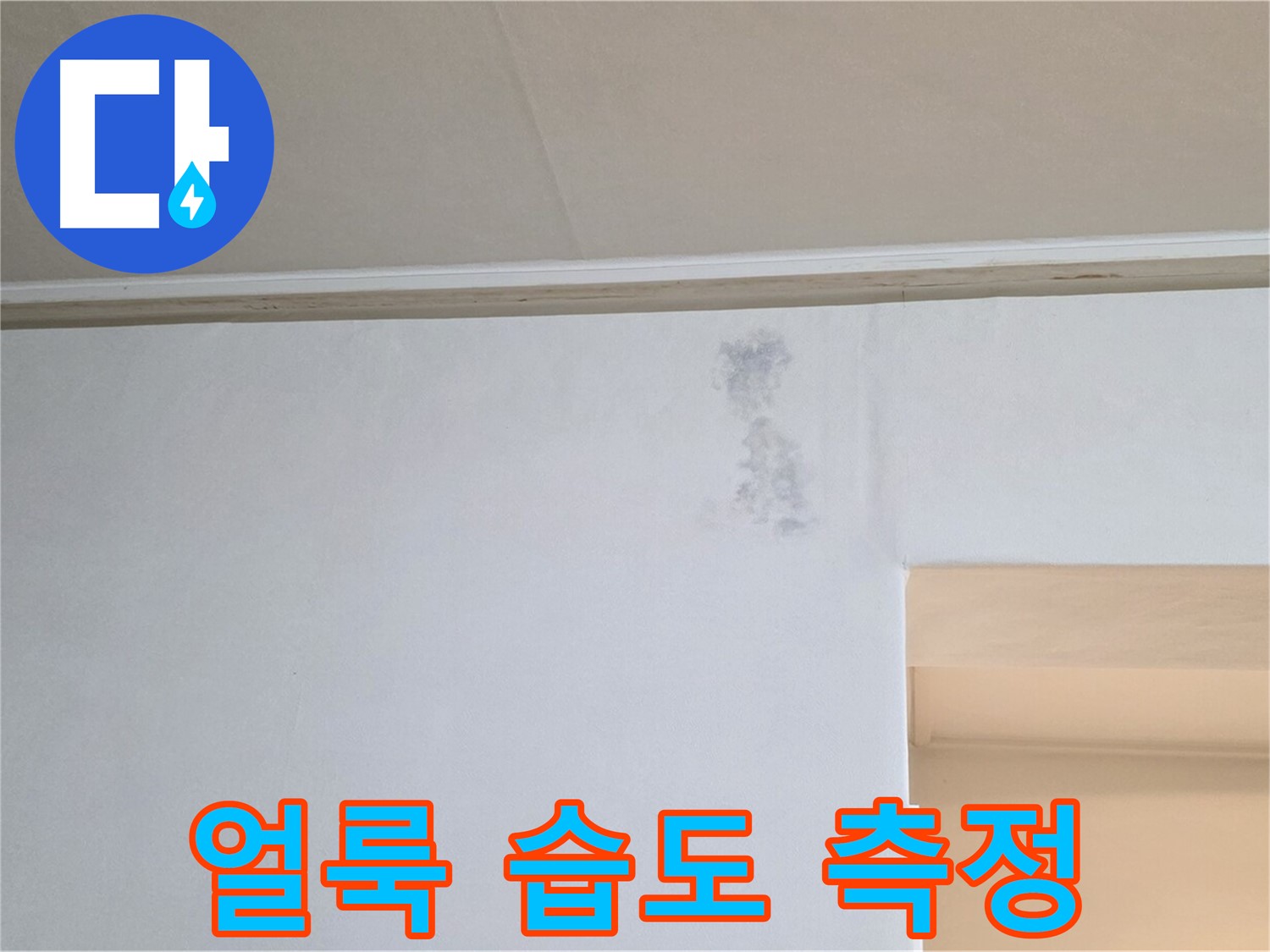 수묵화 얼룩 습도 측정 - 누수 & 곰팡이 정밀 과학 수사