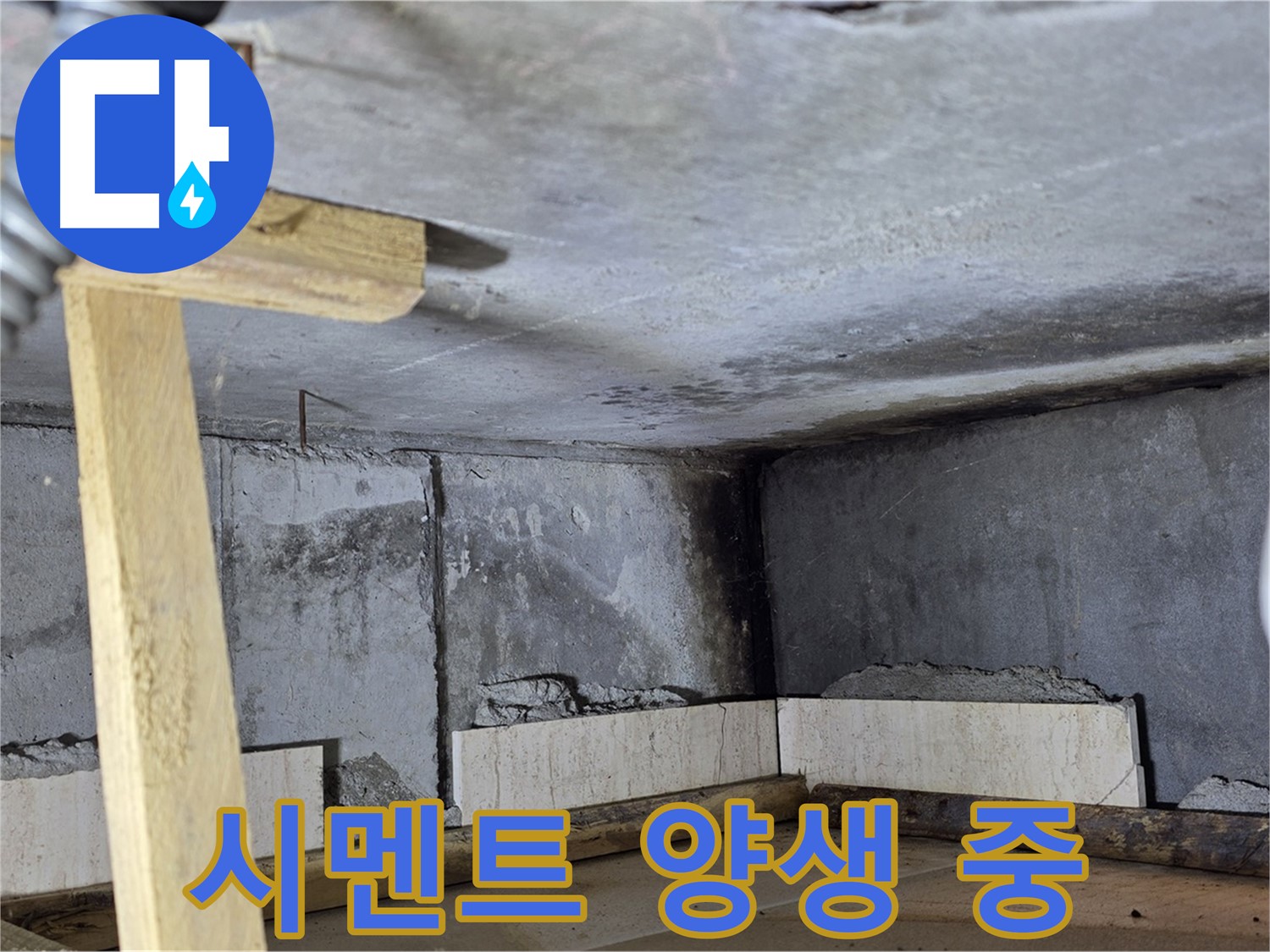 욕조 조적 시멘트 양생 과정 - 튼튼한 기초를 위한 기다림