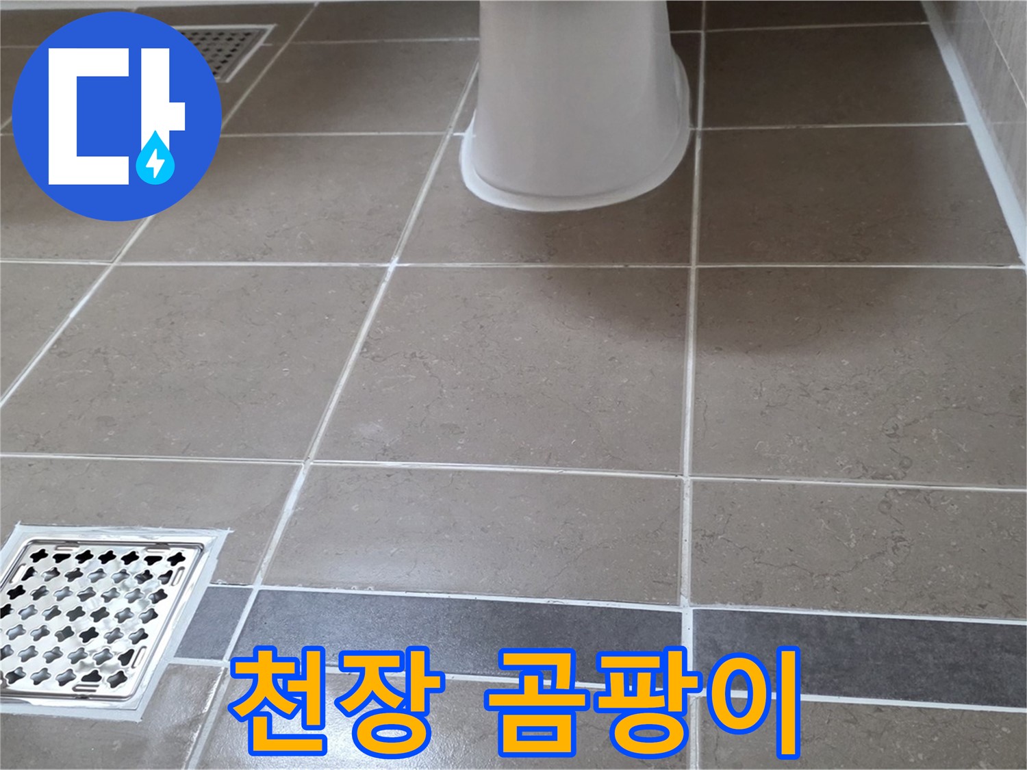 일동 - 천장 곰팡이, 누수 의심