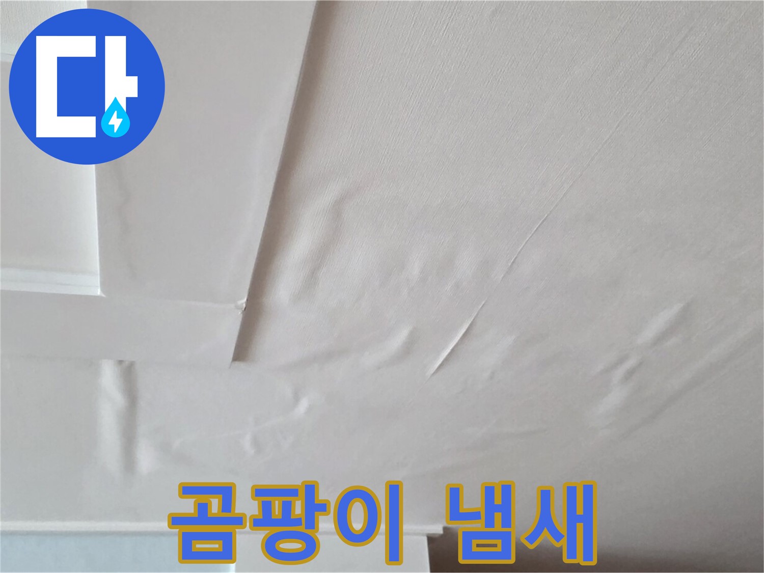 일동기산베스트빌 아파트 천장 누수 - 곰팡이 냄새와 건강 위협