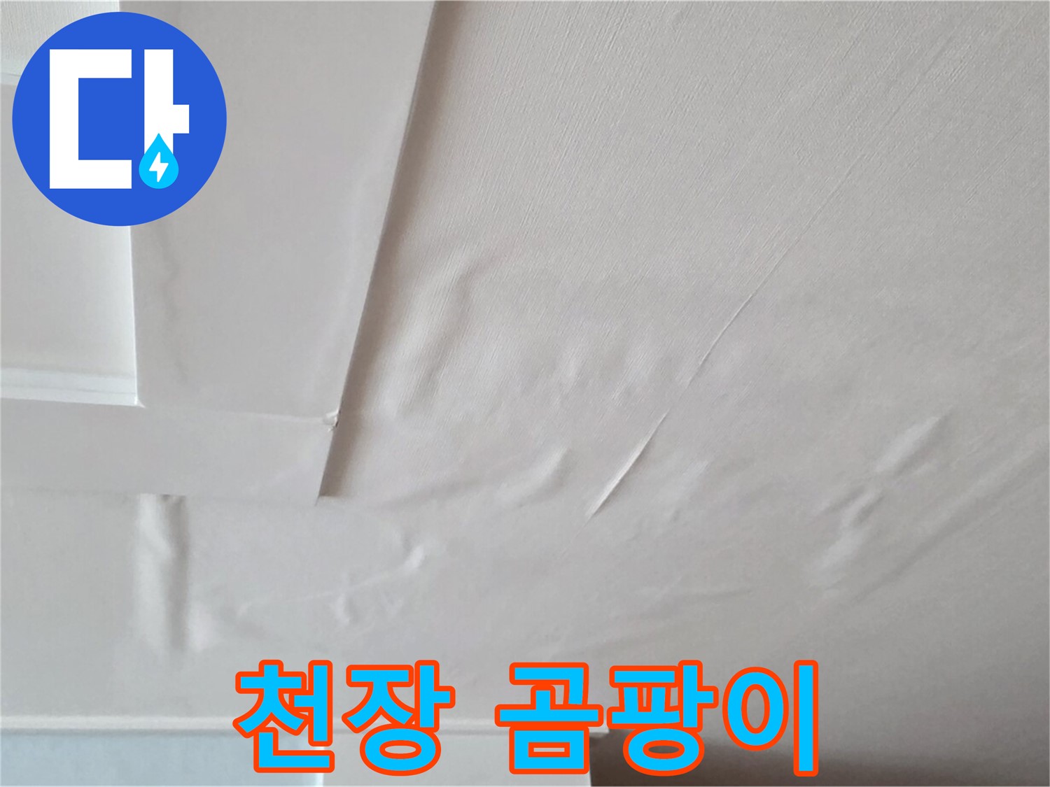 일동면 아파트 천장 곰팡이 - 누수로 인한 곰팡이 발생 및 확산 상태 확인