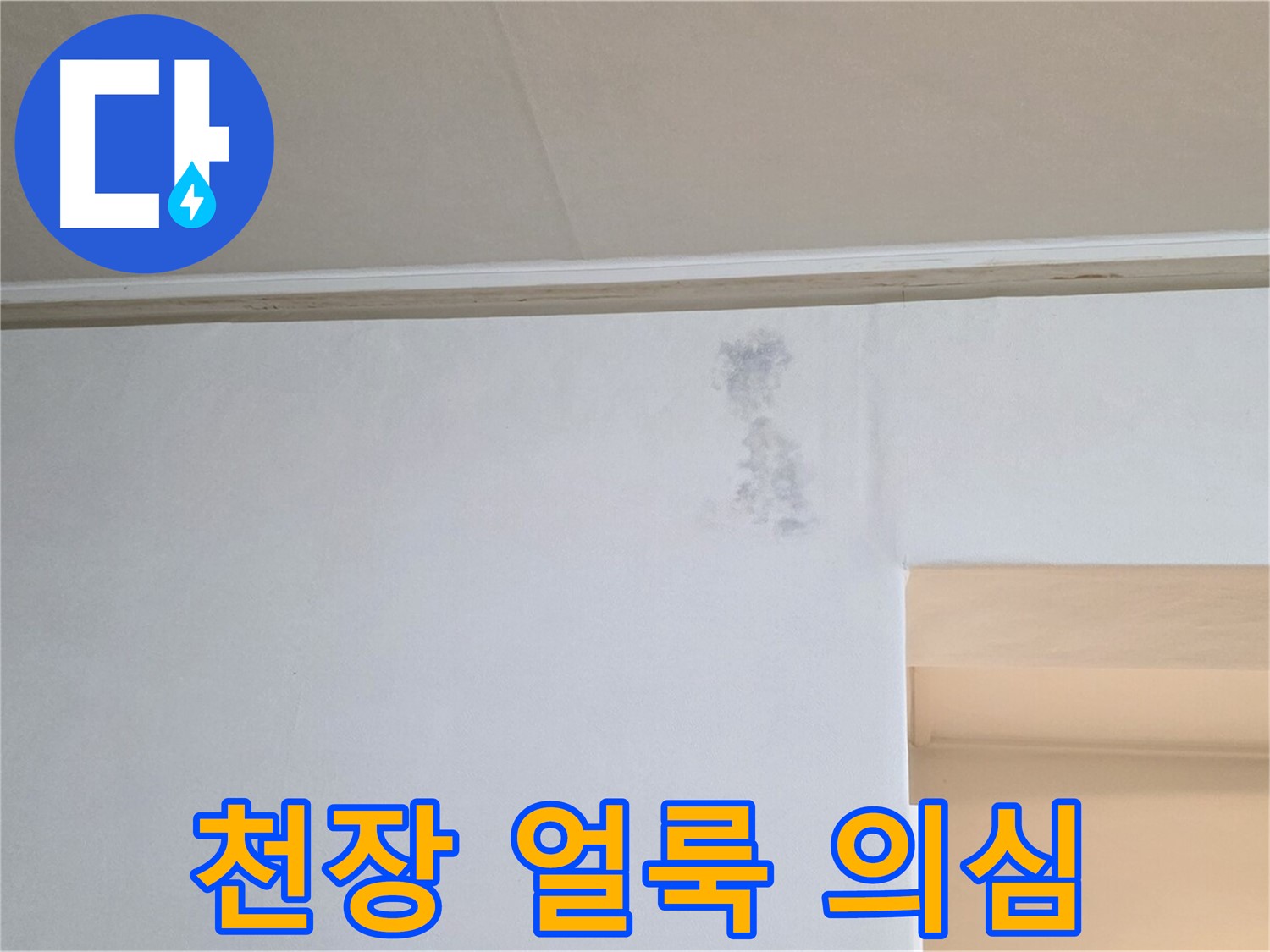 천장 구석 얼룩 - 윗집 누수 의심 점검