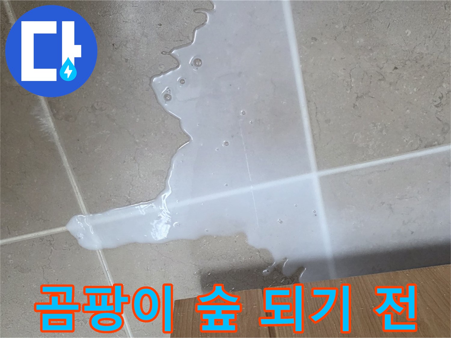 포천 일동 기산리 아파트 - 씽크대 누수로 인해 곰팡이가 무성하게 자라나는 모습 - 곰팡이 숲 되기 전에 SOS