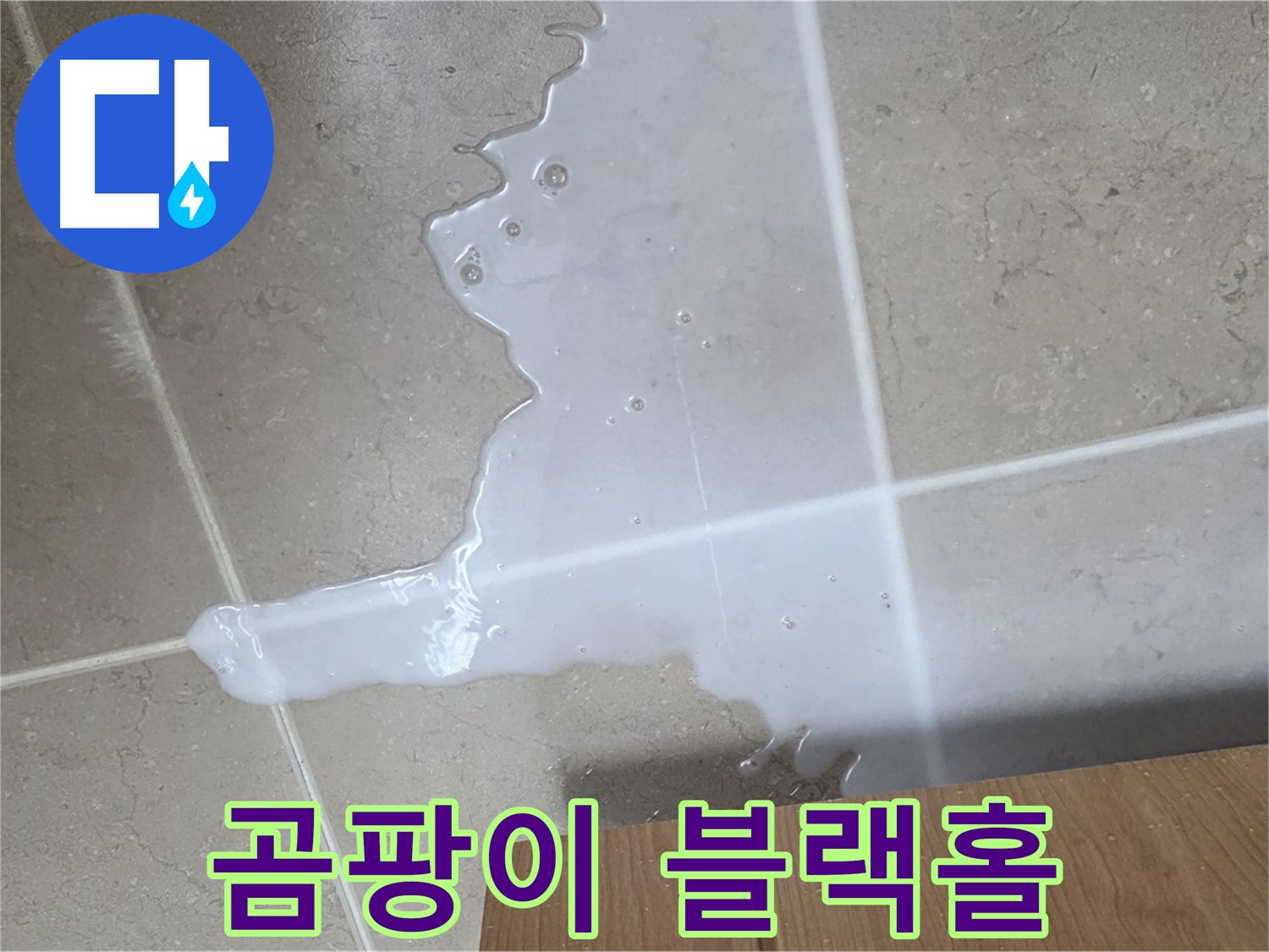 포천 일동 기산베스트빌 아파트 - 씽크대 누수로 인해 곰팡이가 무성하게 자라나는 모습 - 곰팡이 블랙홀 생성?!